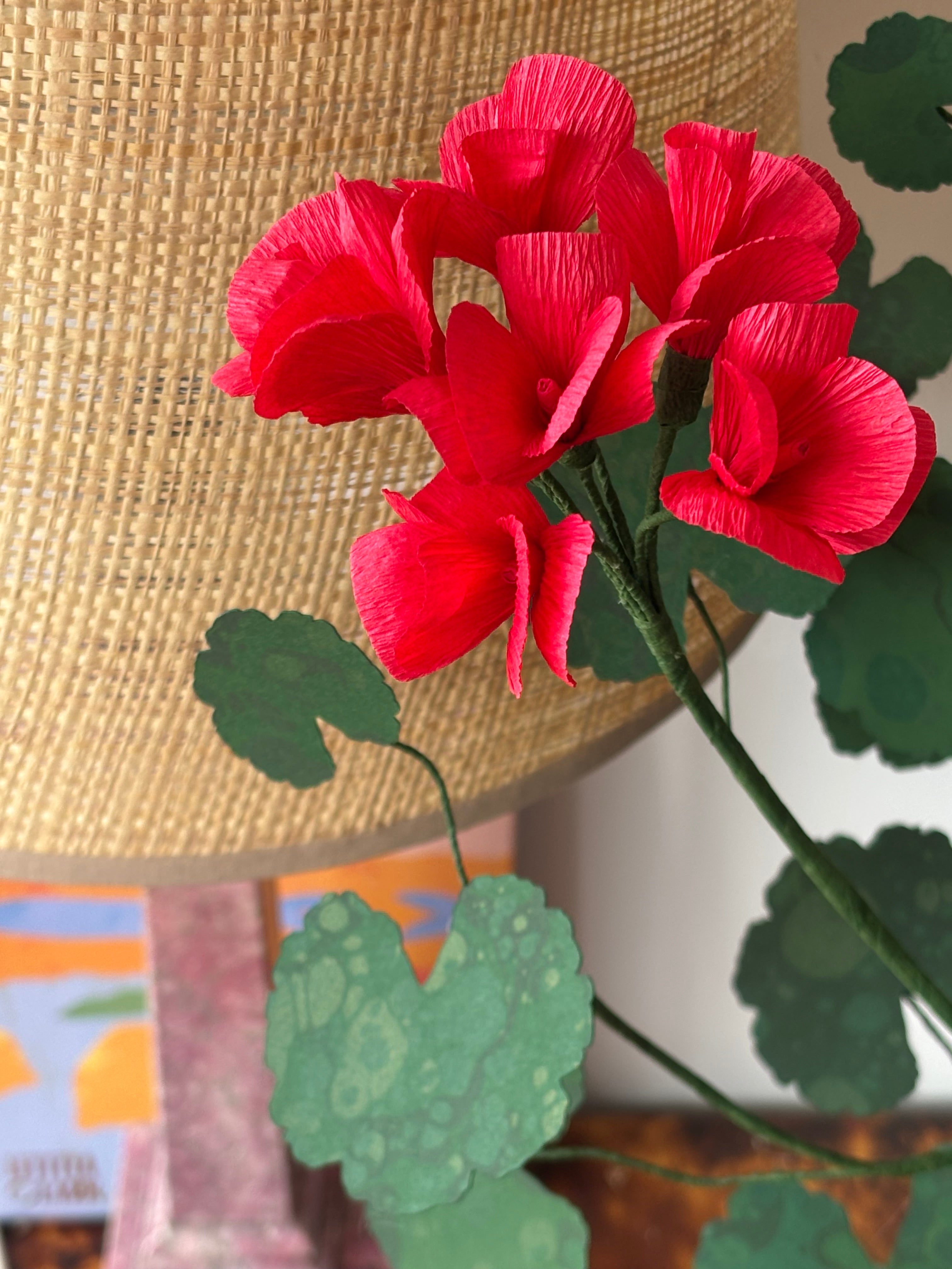 Paper Geranium