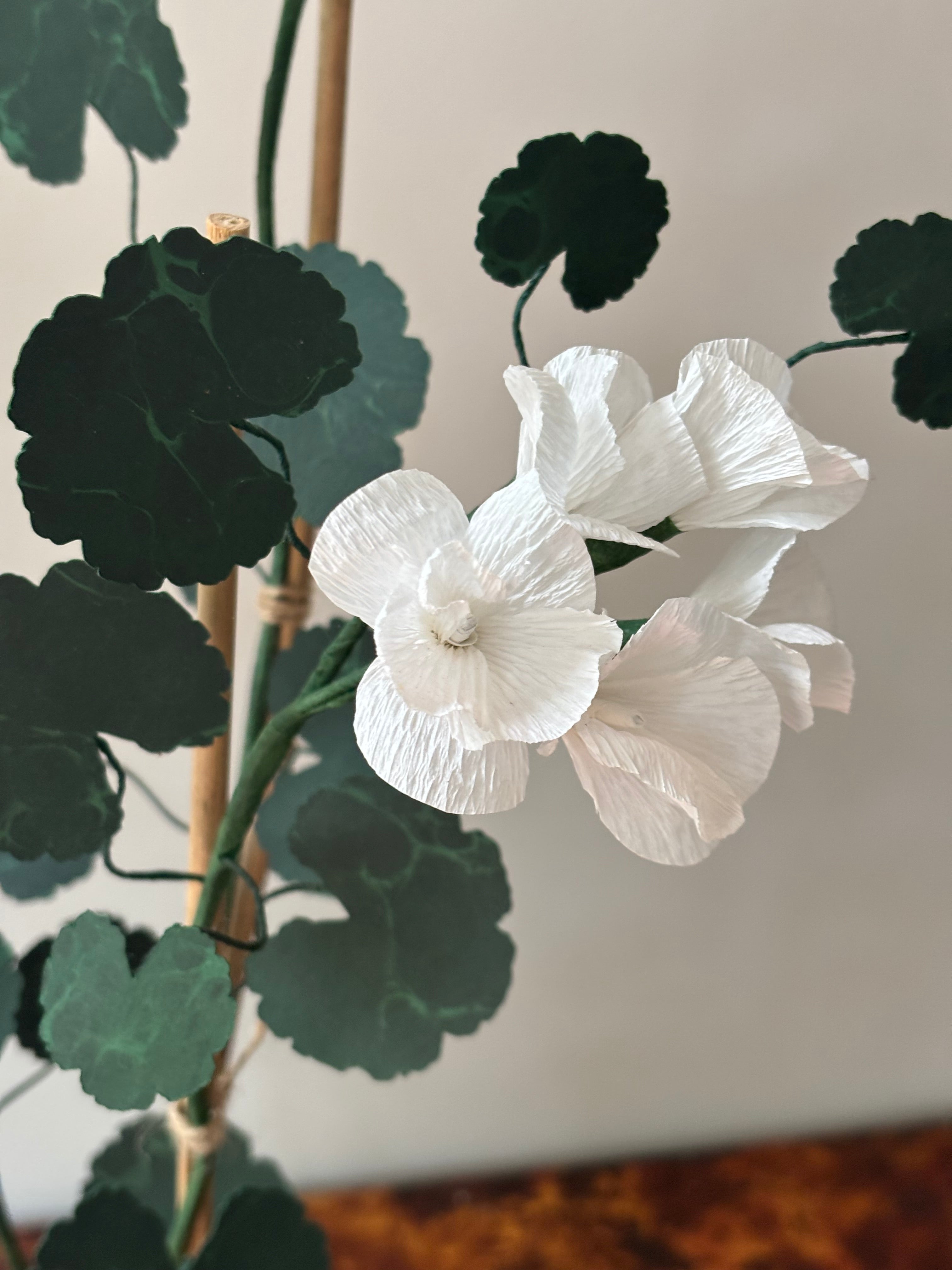 Paper Geranium