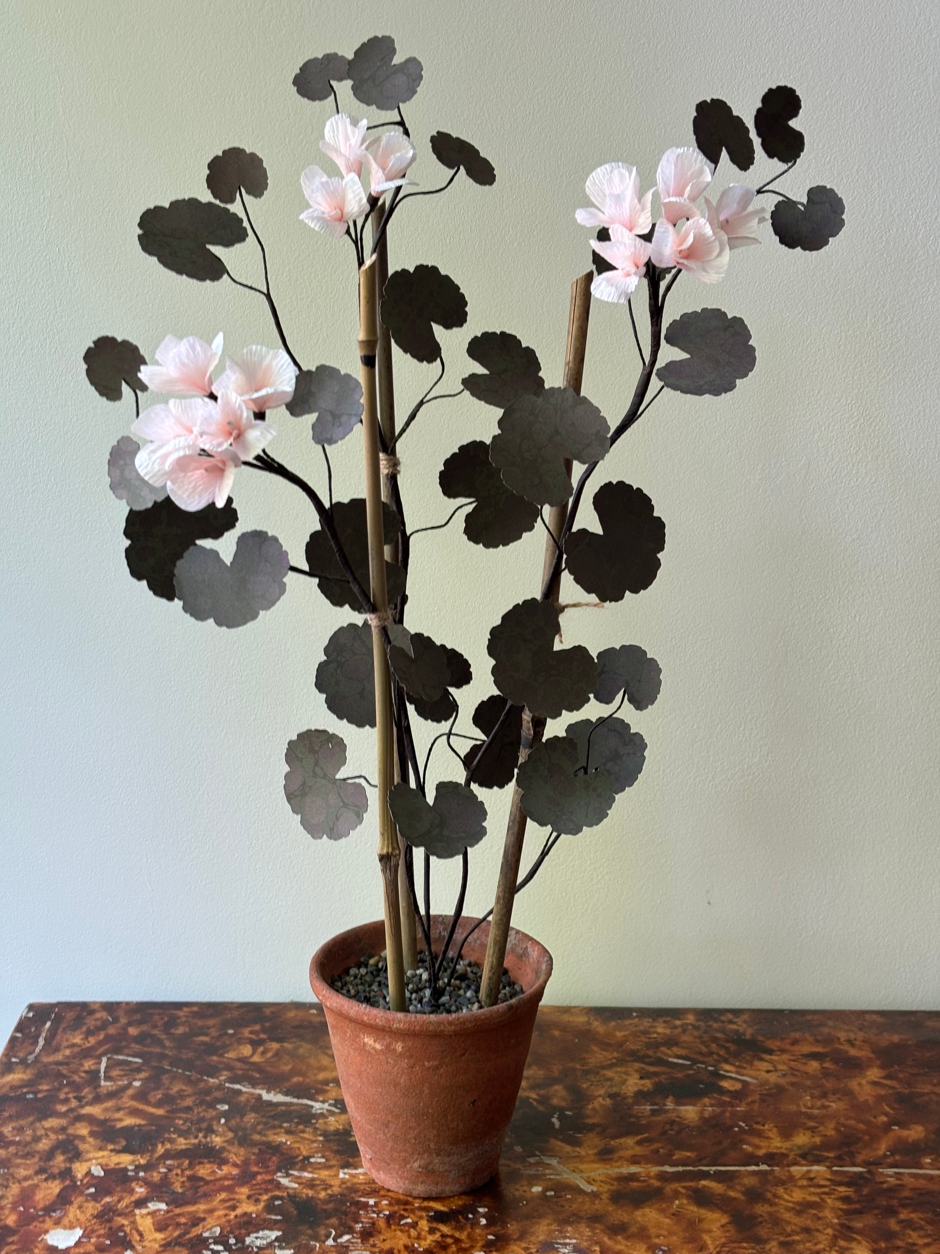 Paper Geranium