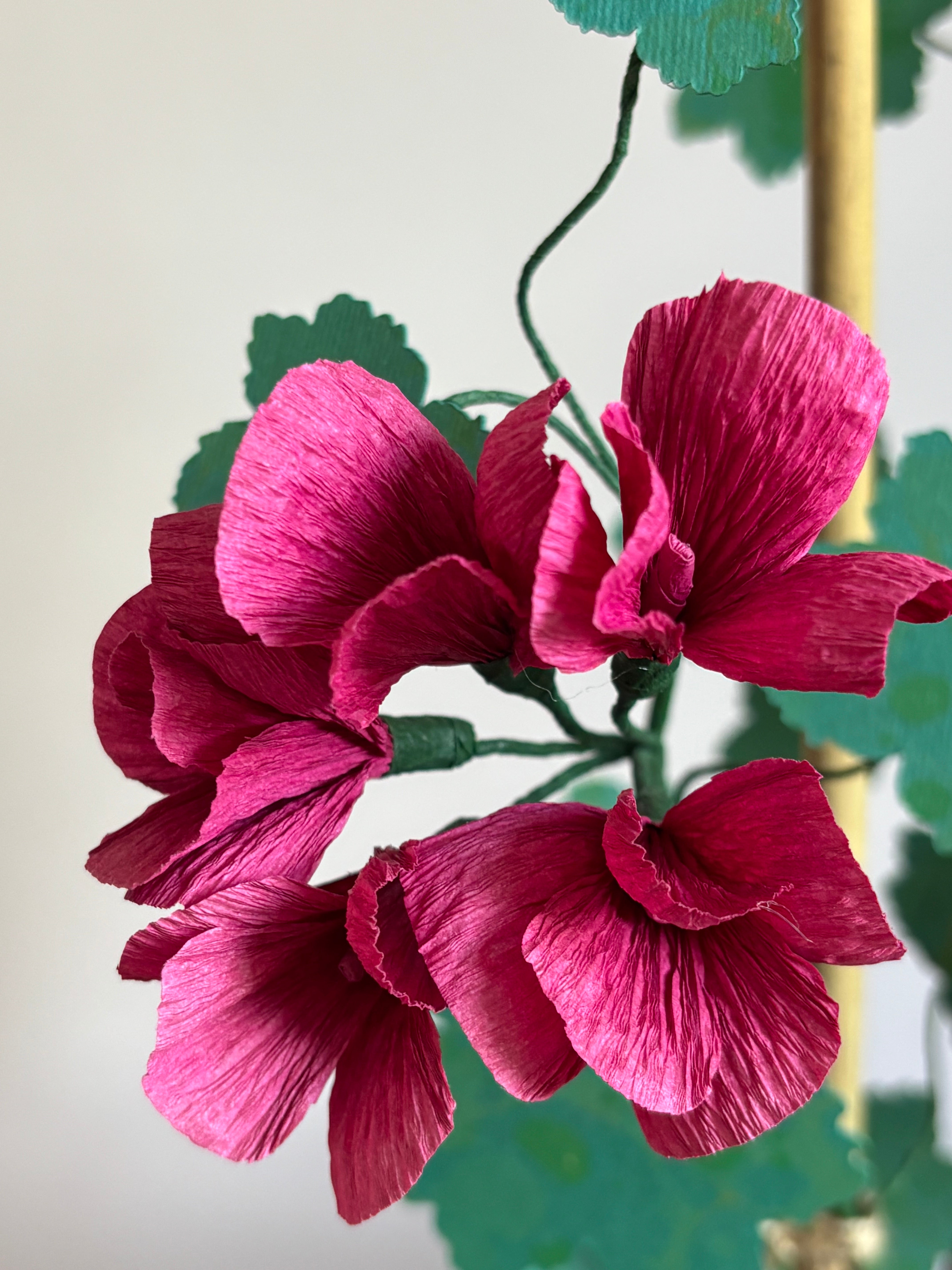 Paper Geranium