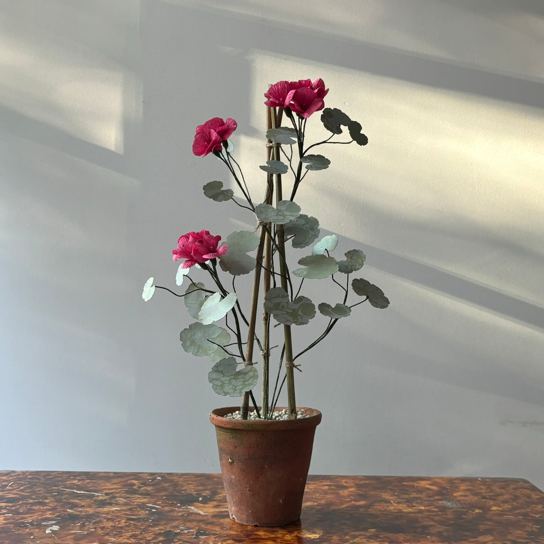 Paper Geranium
