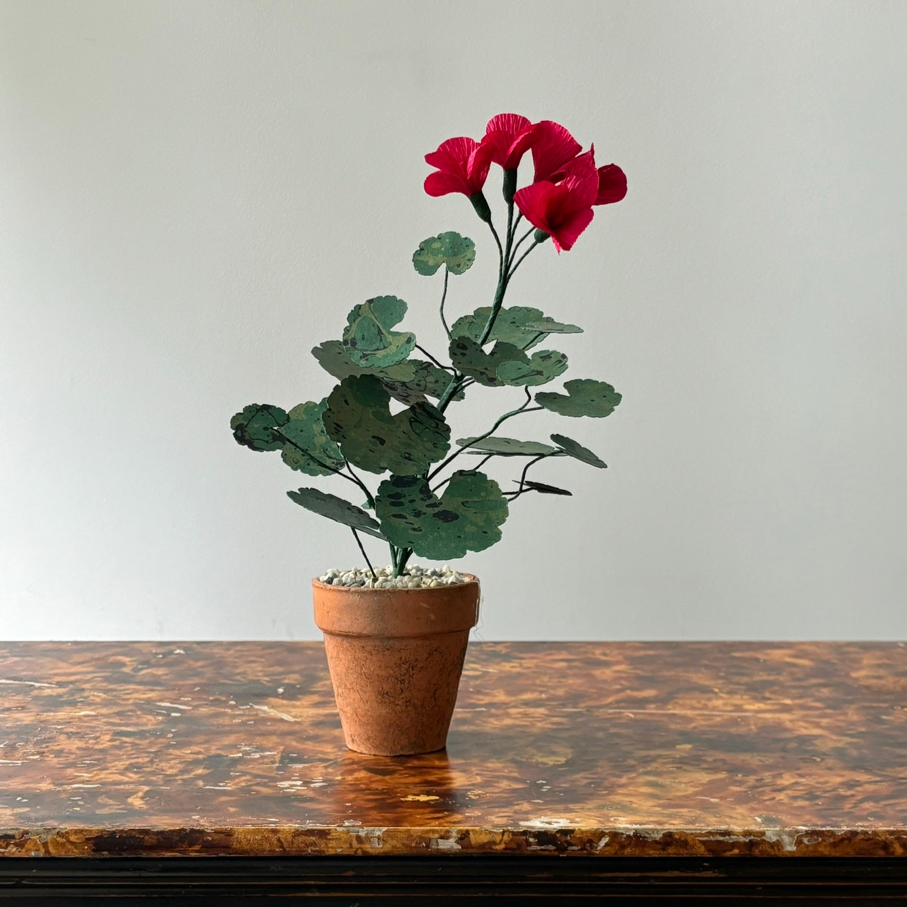 Paper Geranium