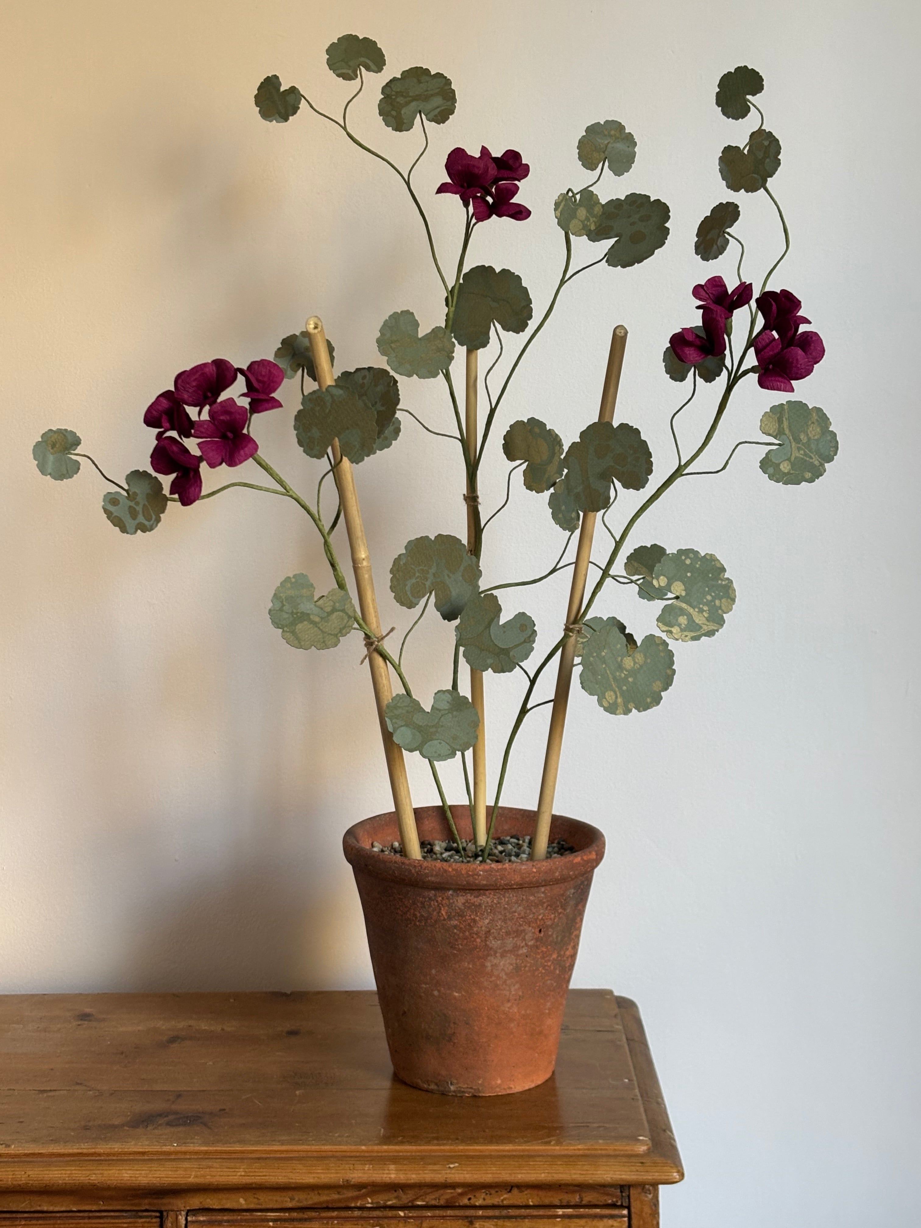 Paper Geranium