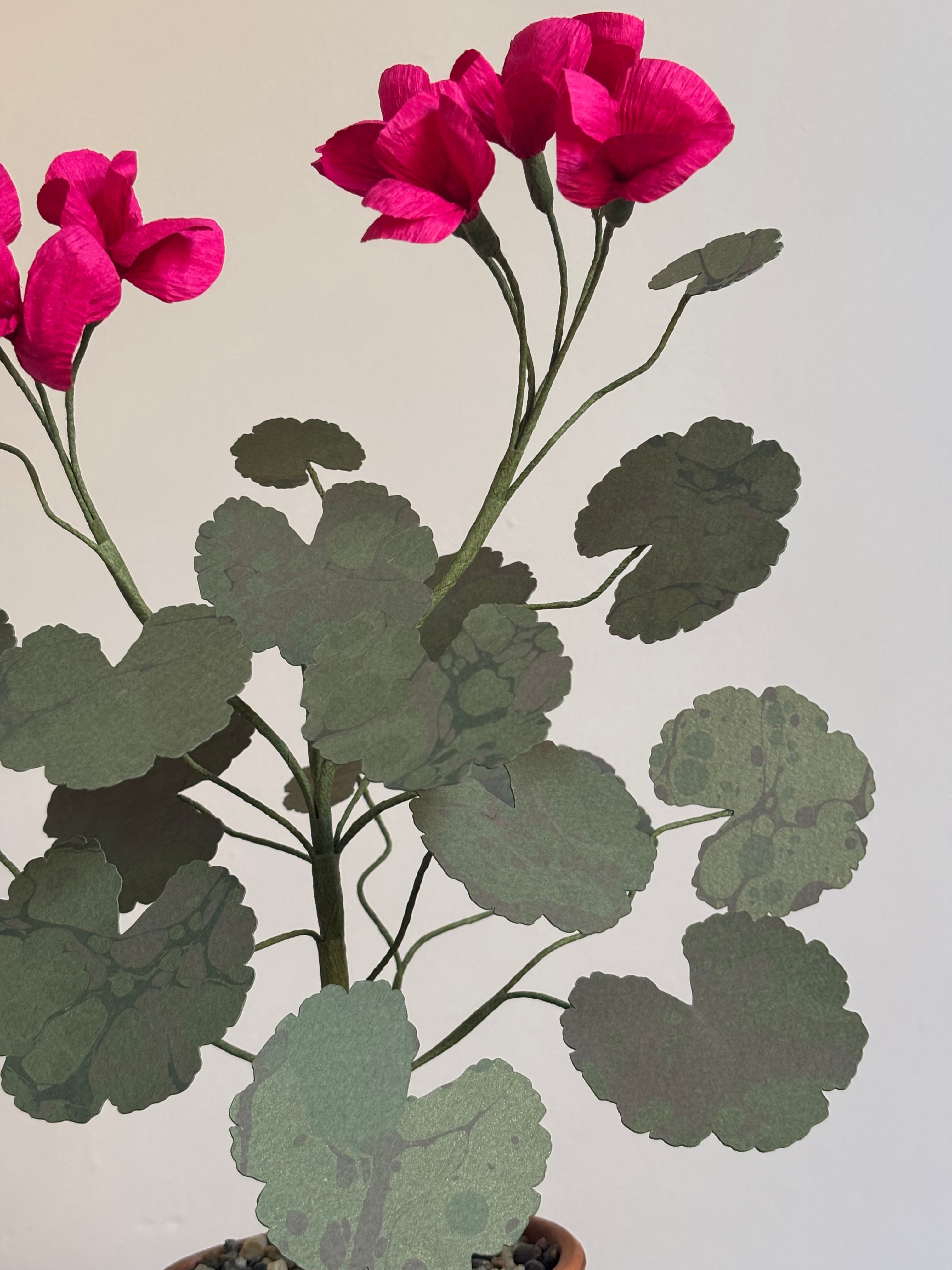 Paper Geranium