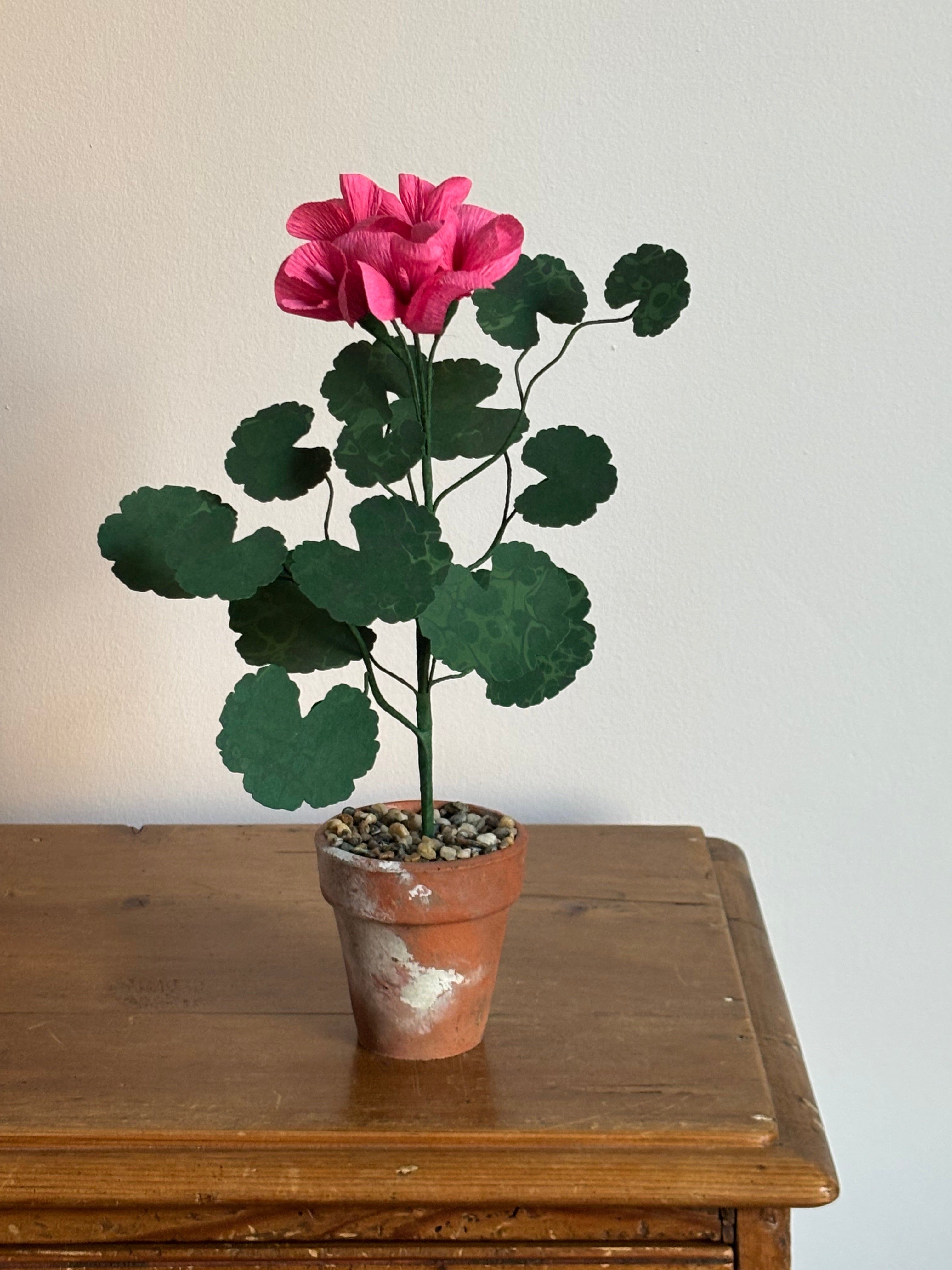 Paper Geranium