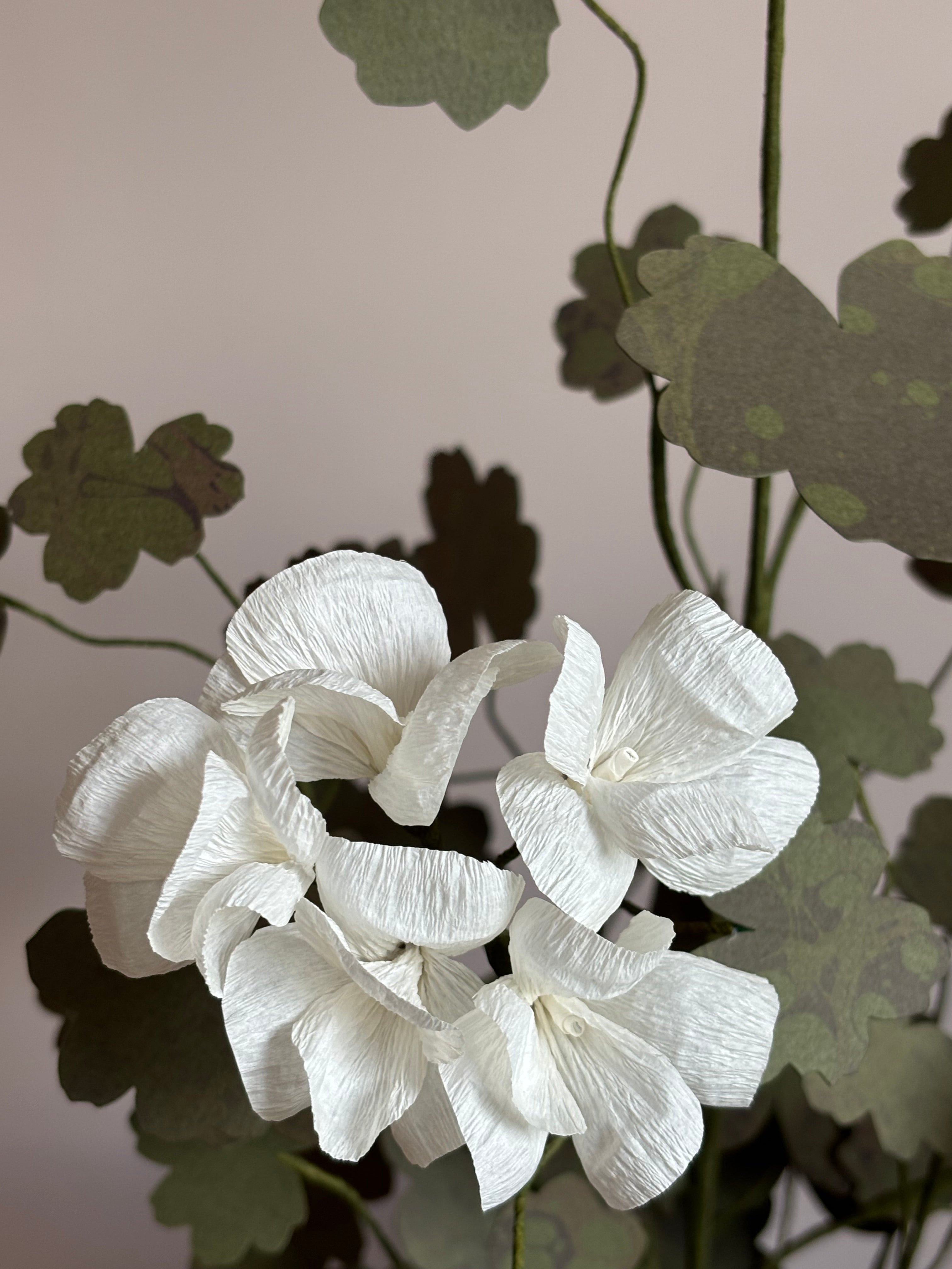 Paper Geranium
