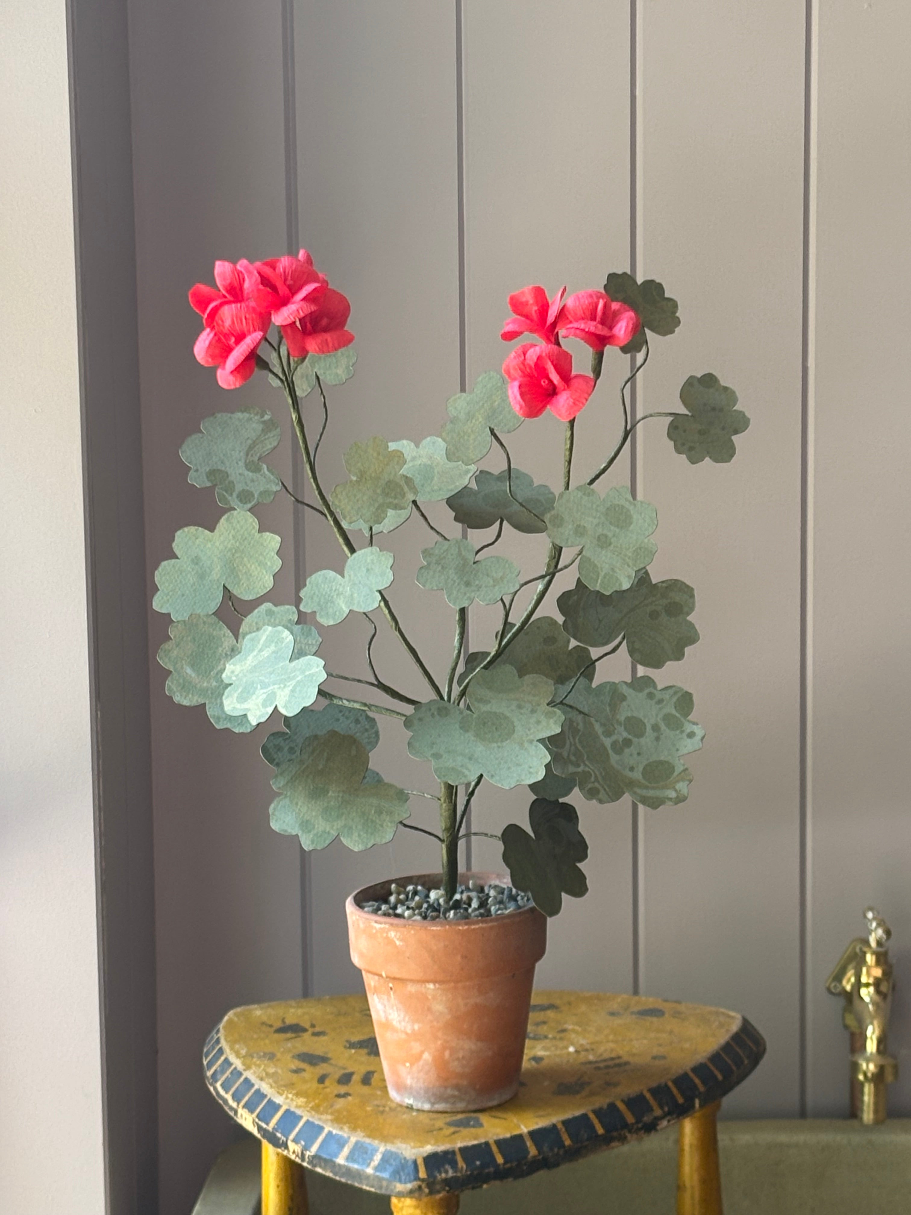 Paper geranium