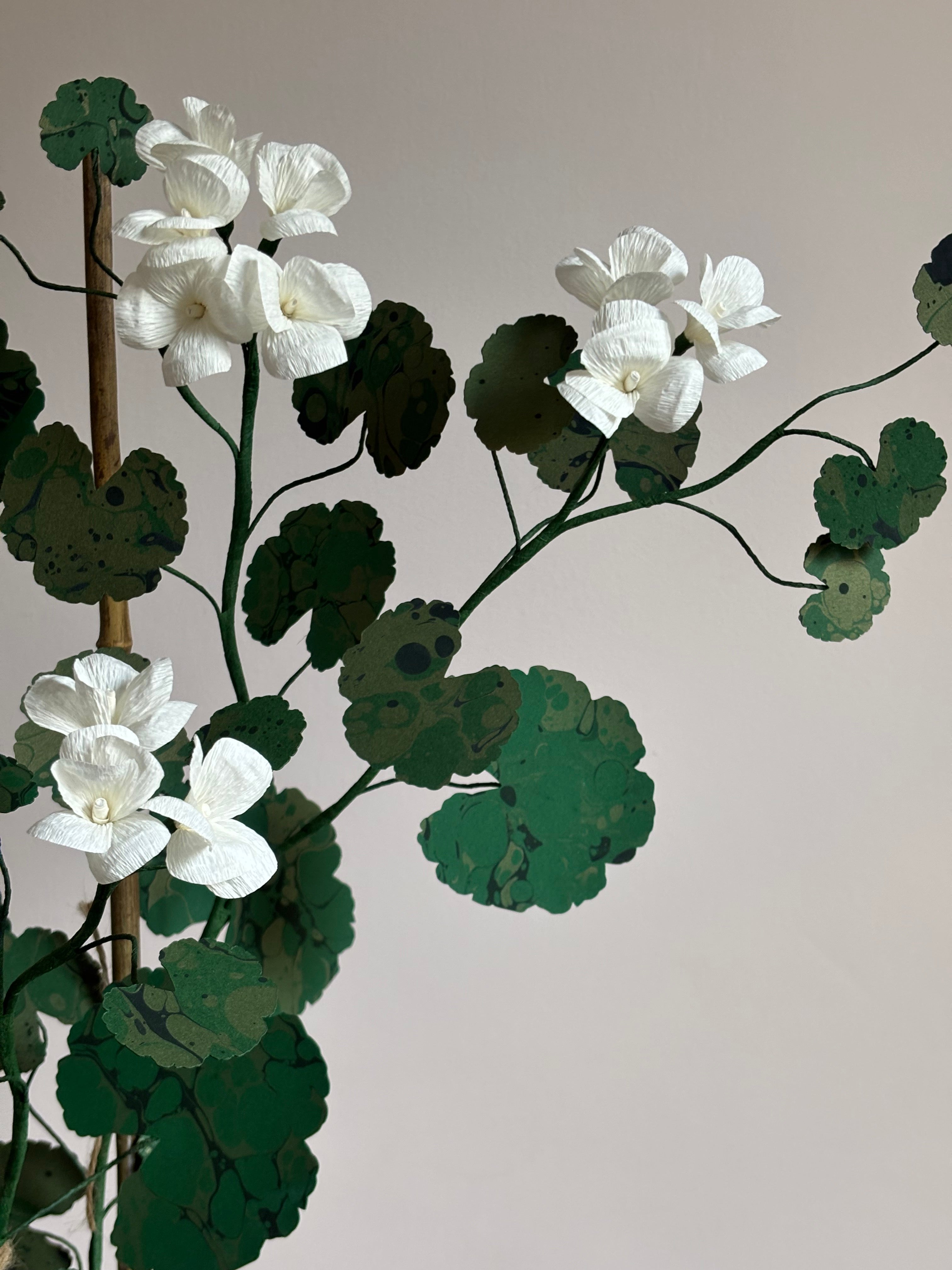 Paper Geranium
