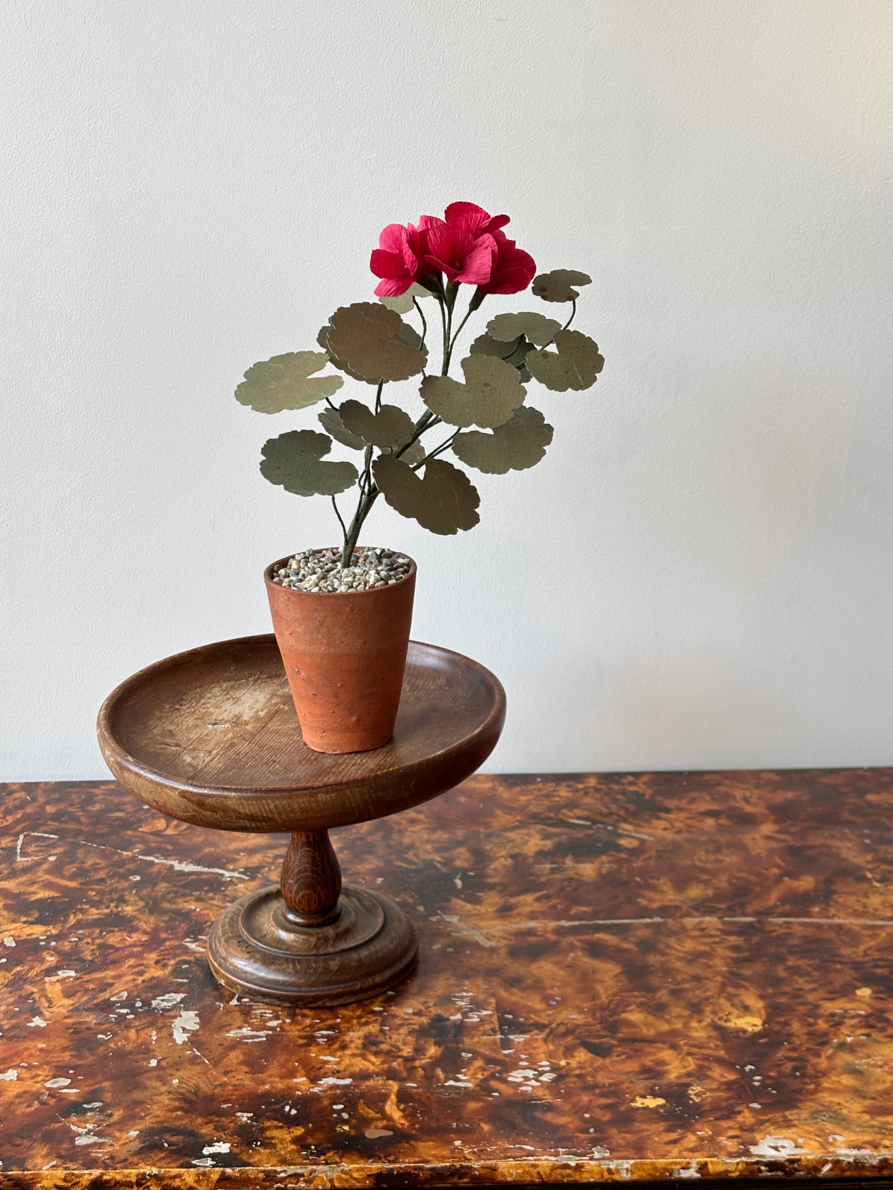 Paper Geranium