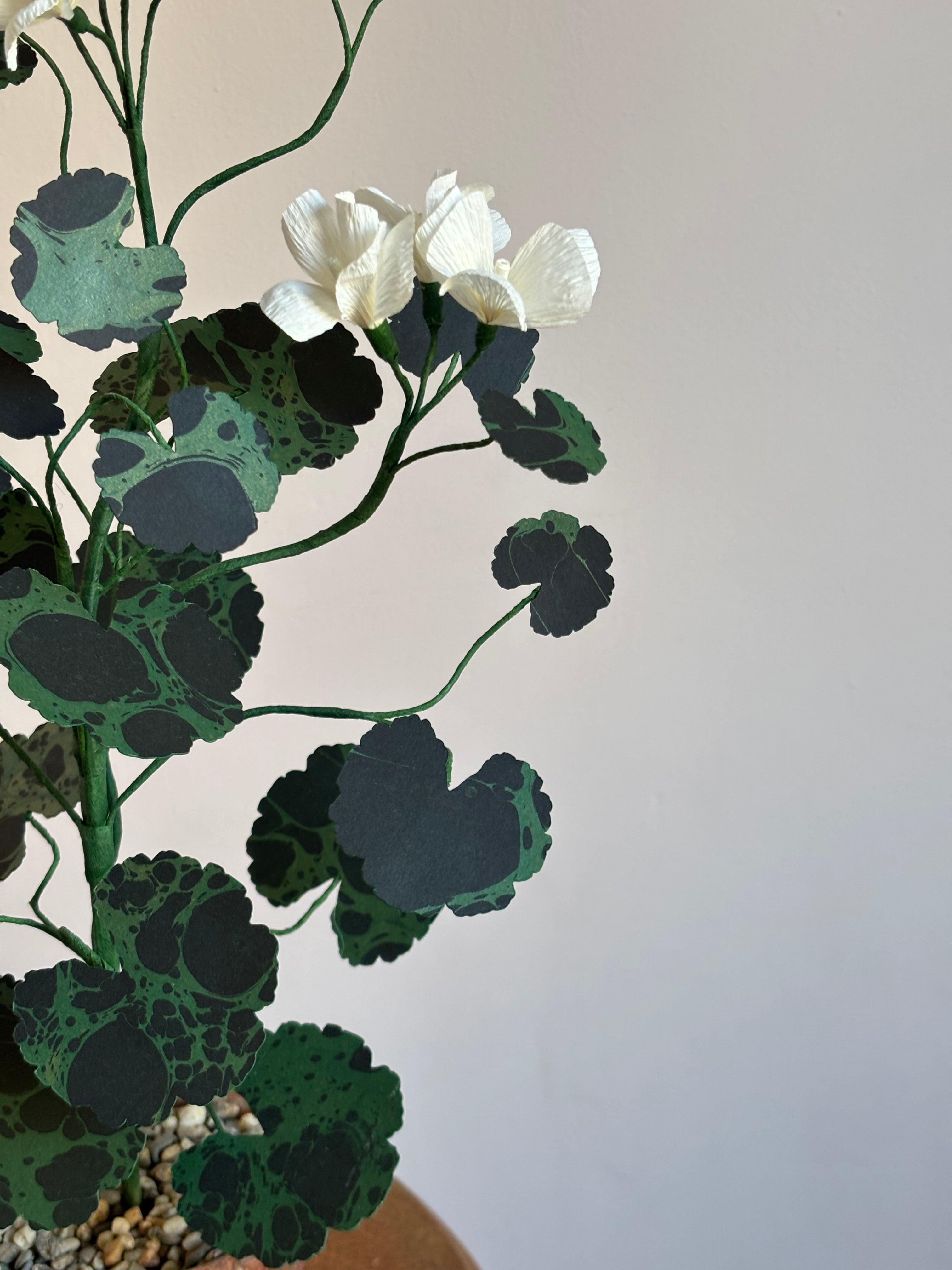 Paper Geranium