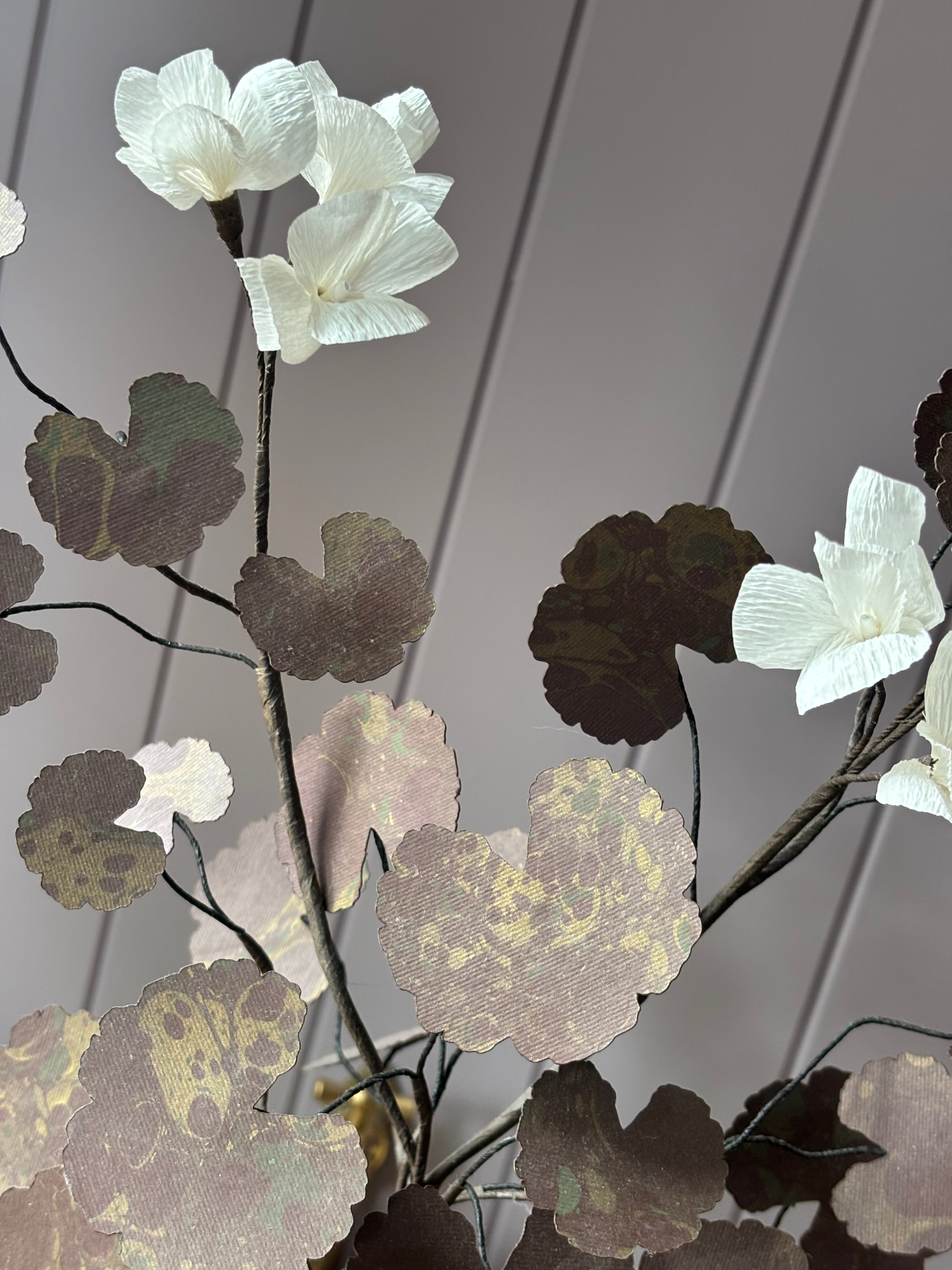 Paper geranium