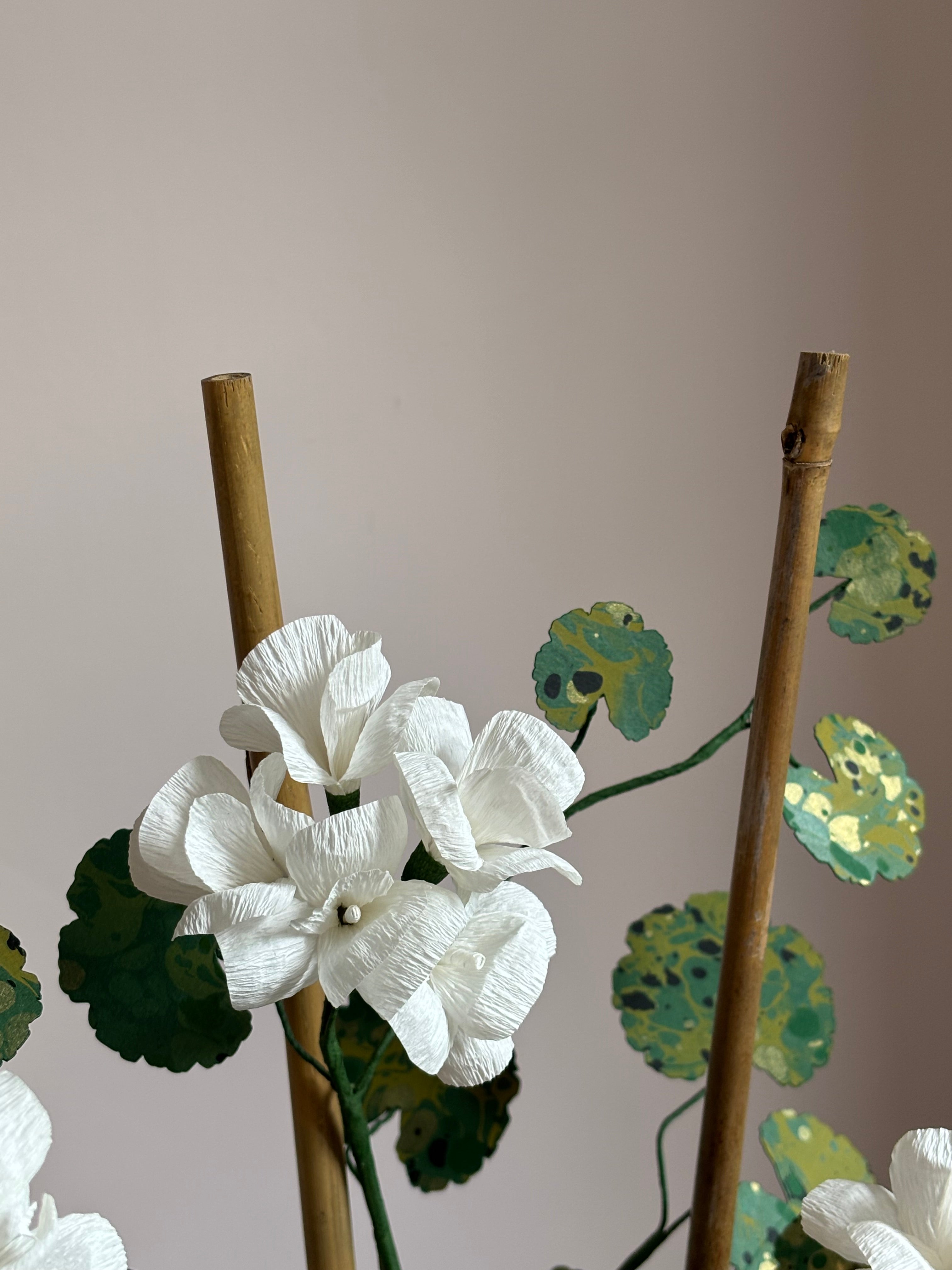 Paper Geranium