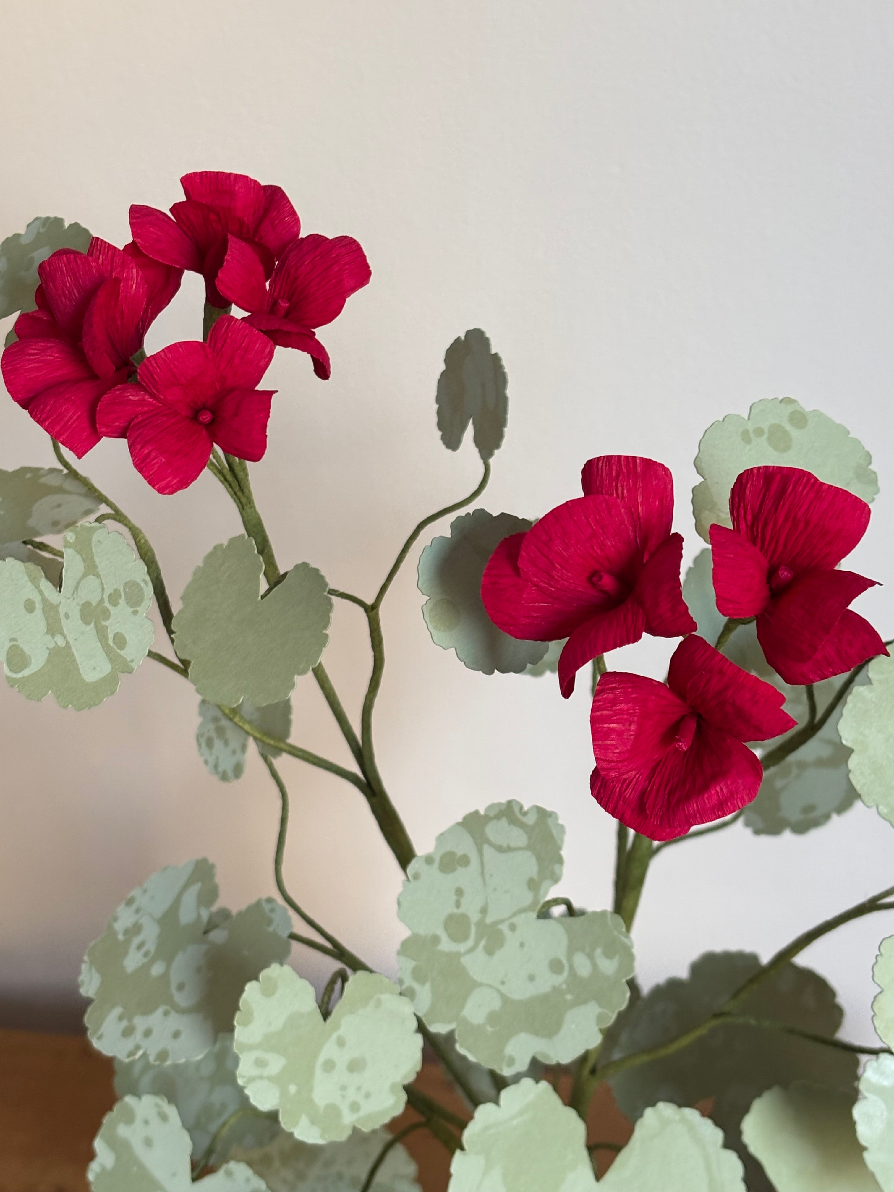 Paper Geranium
