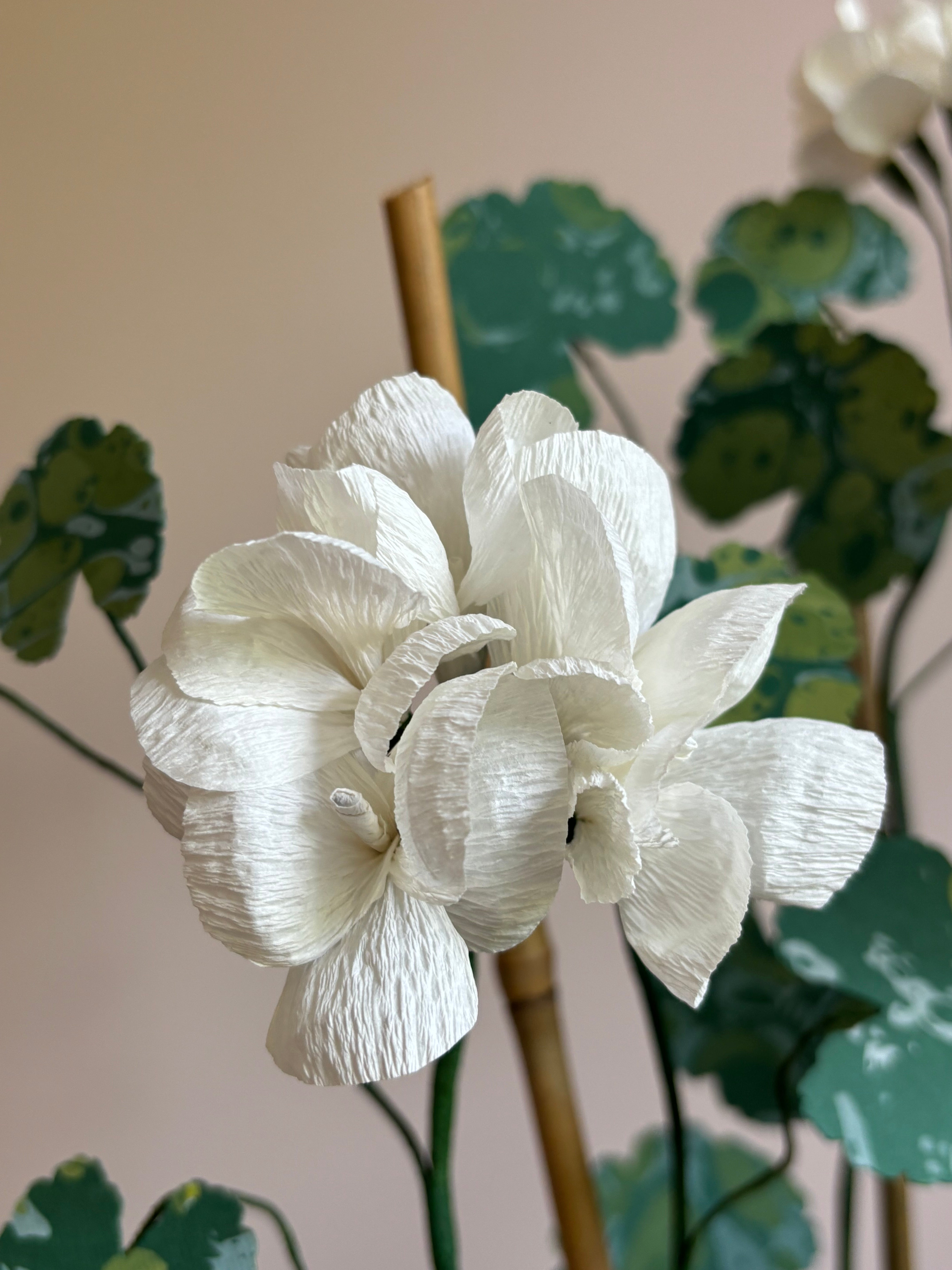 Paper Geranium