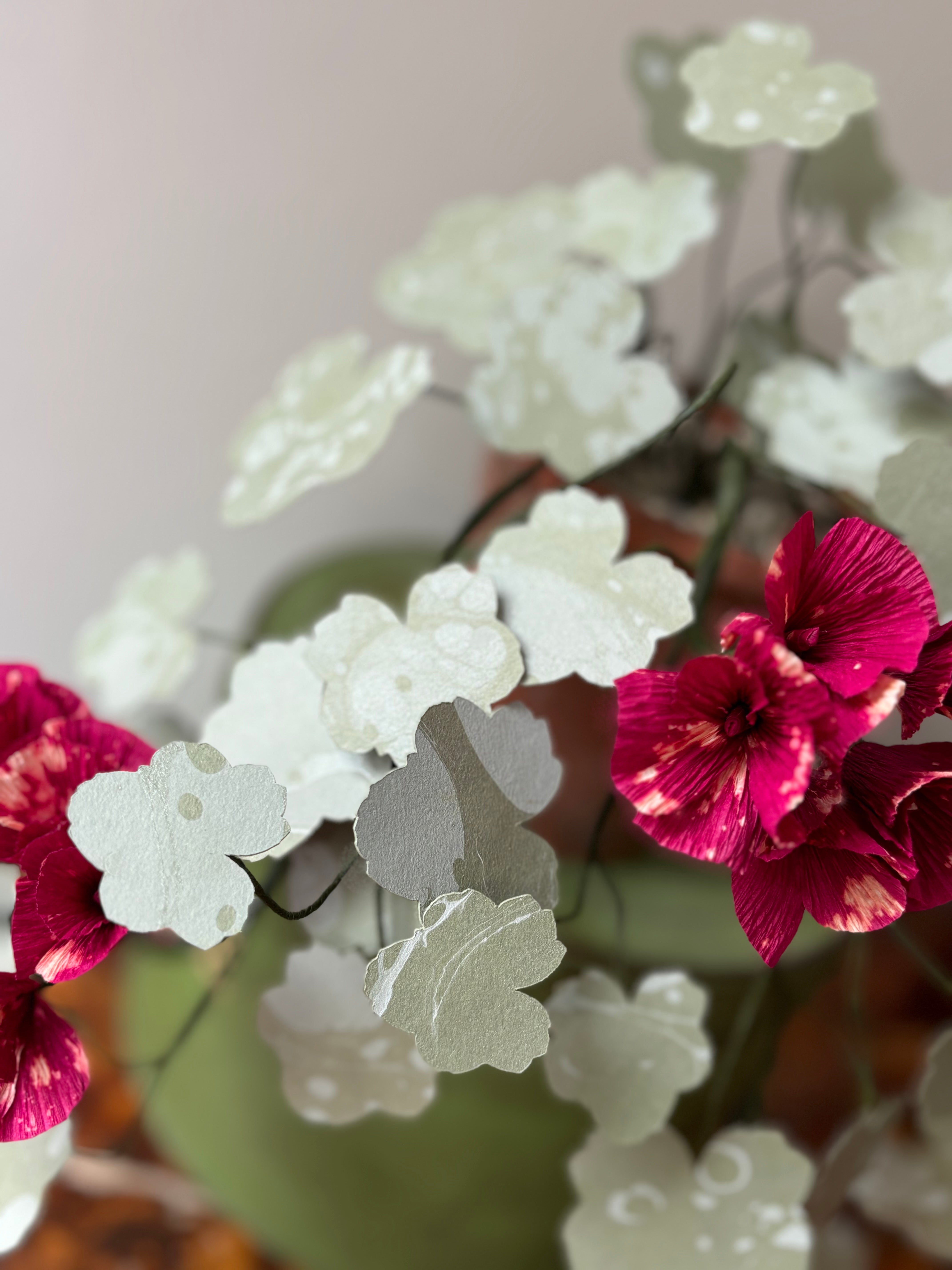 Paper trailing Geranium