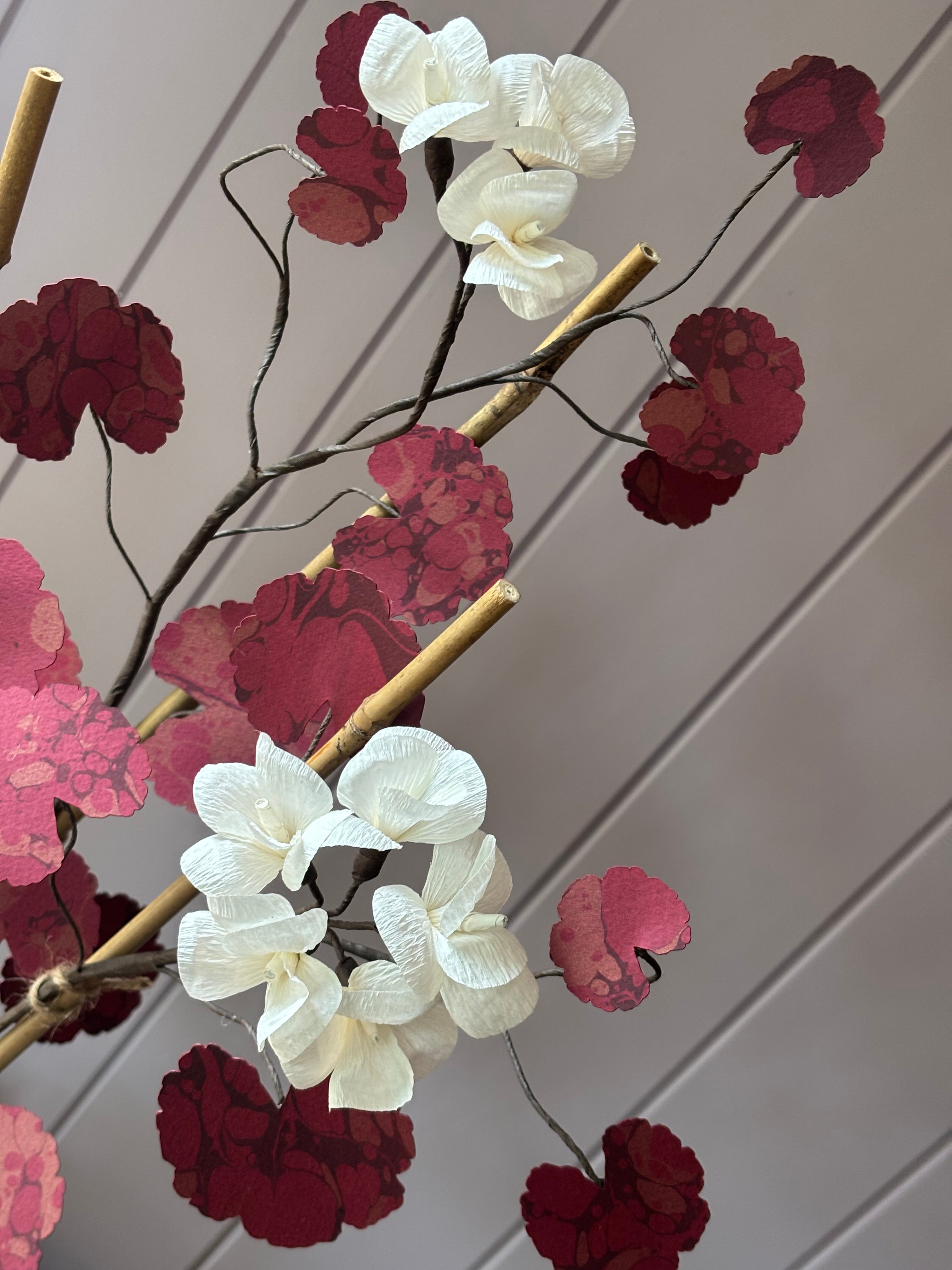 Paper geranium