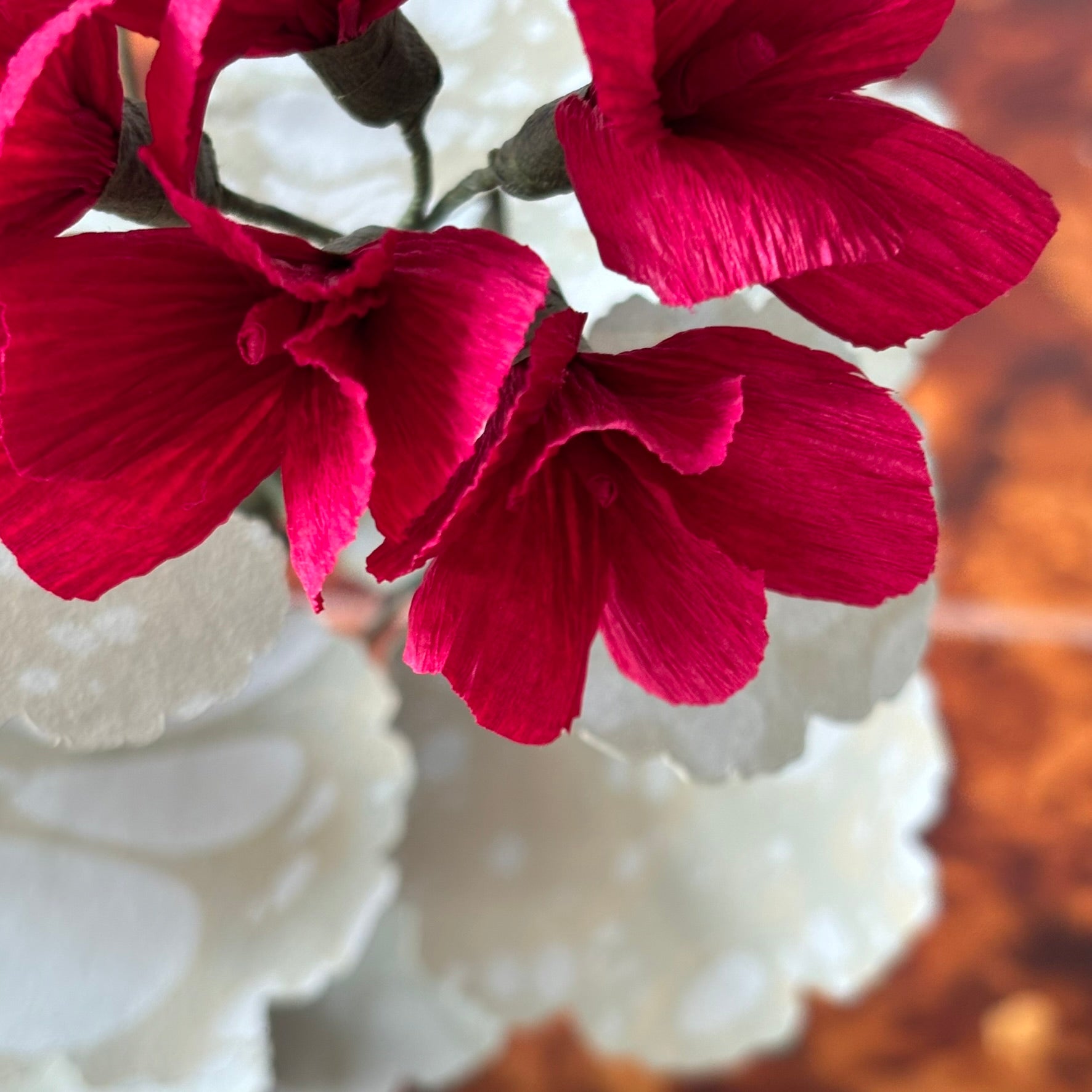 Paper Geranium