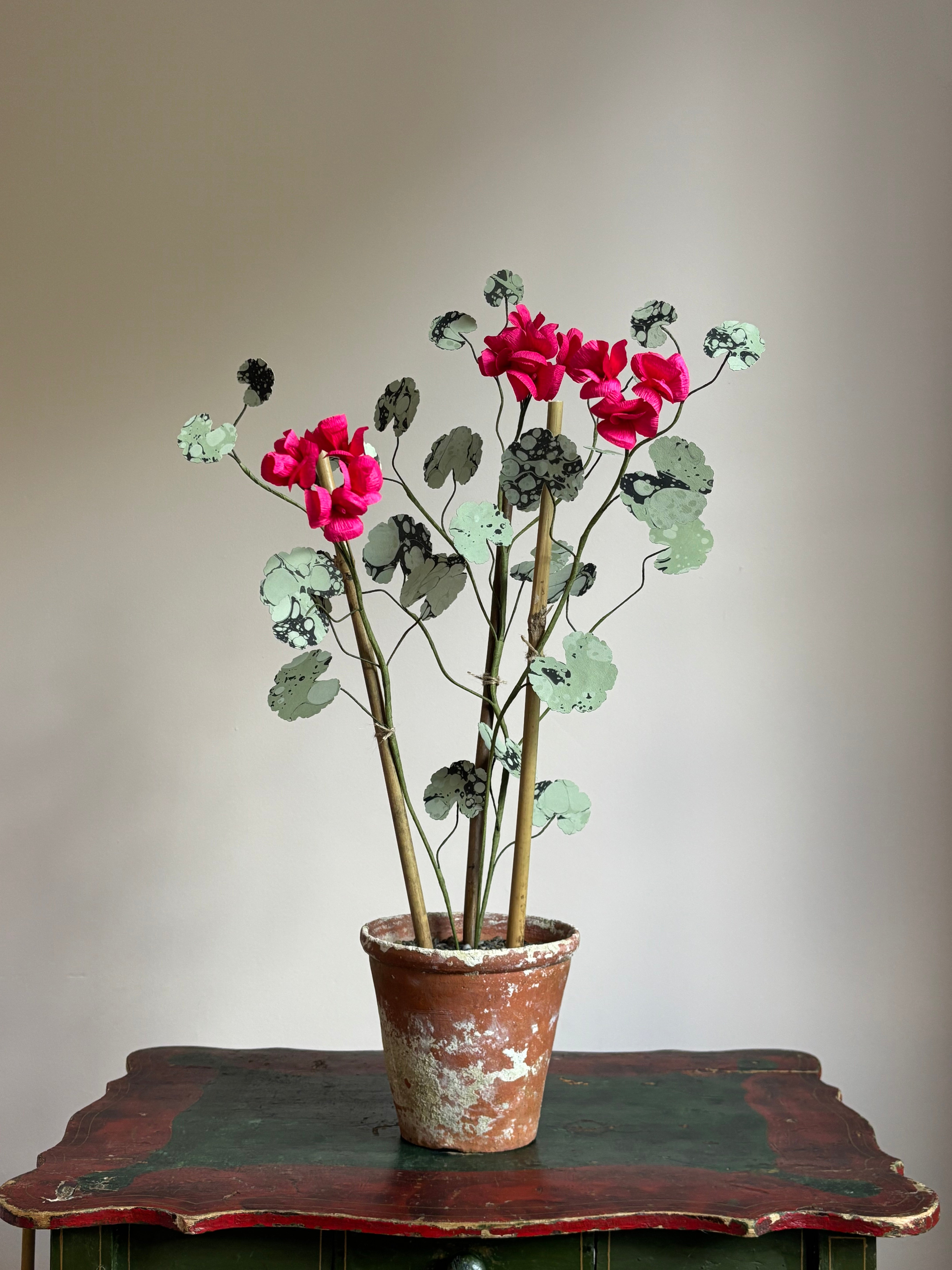Paper Geranium