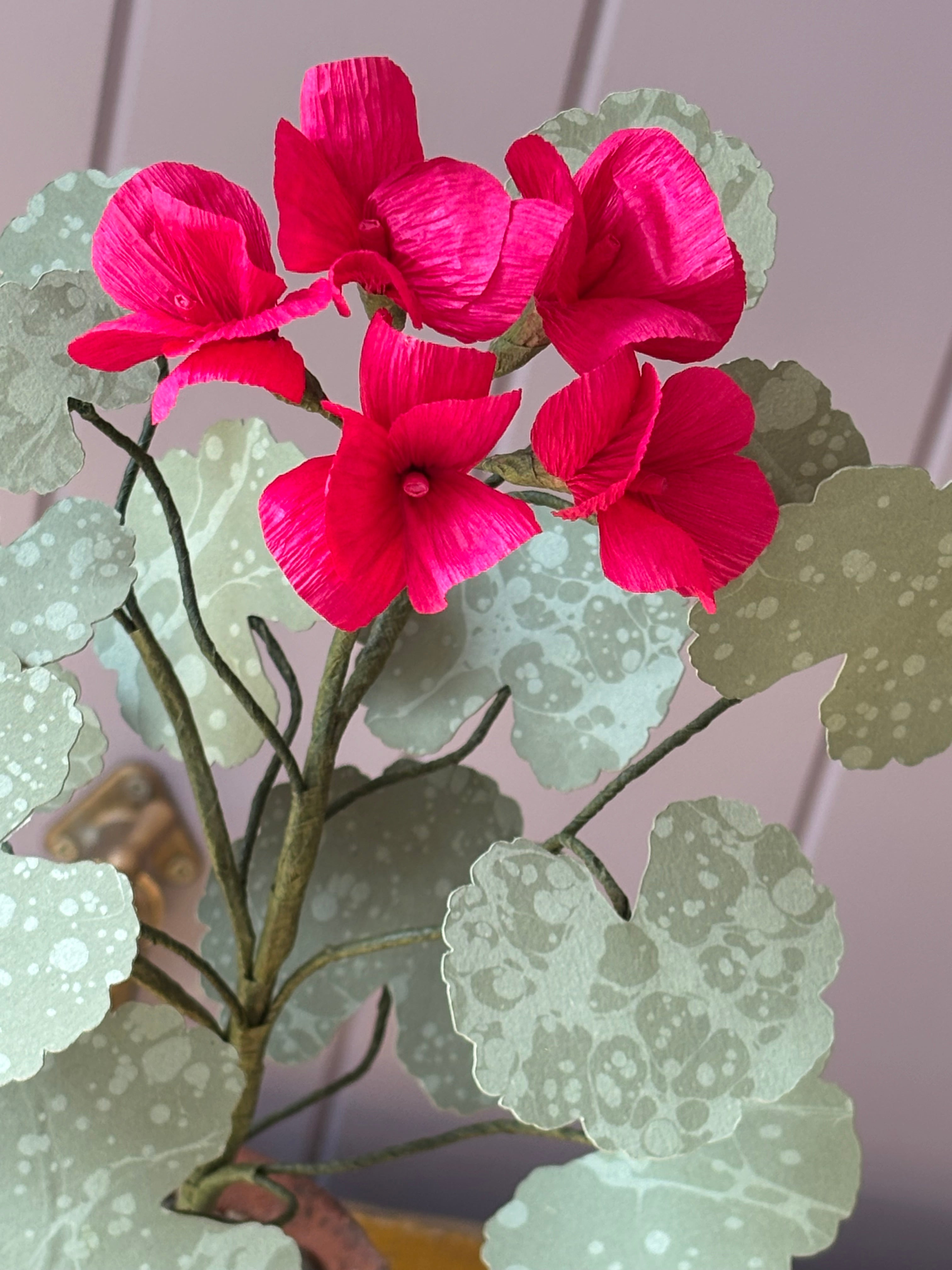 Paper Geranium