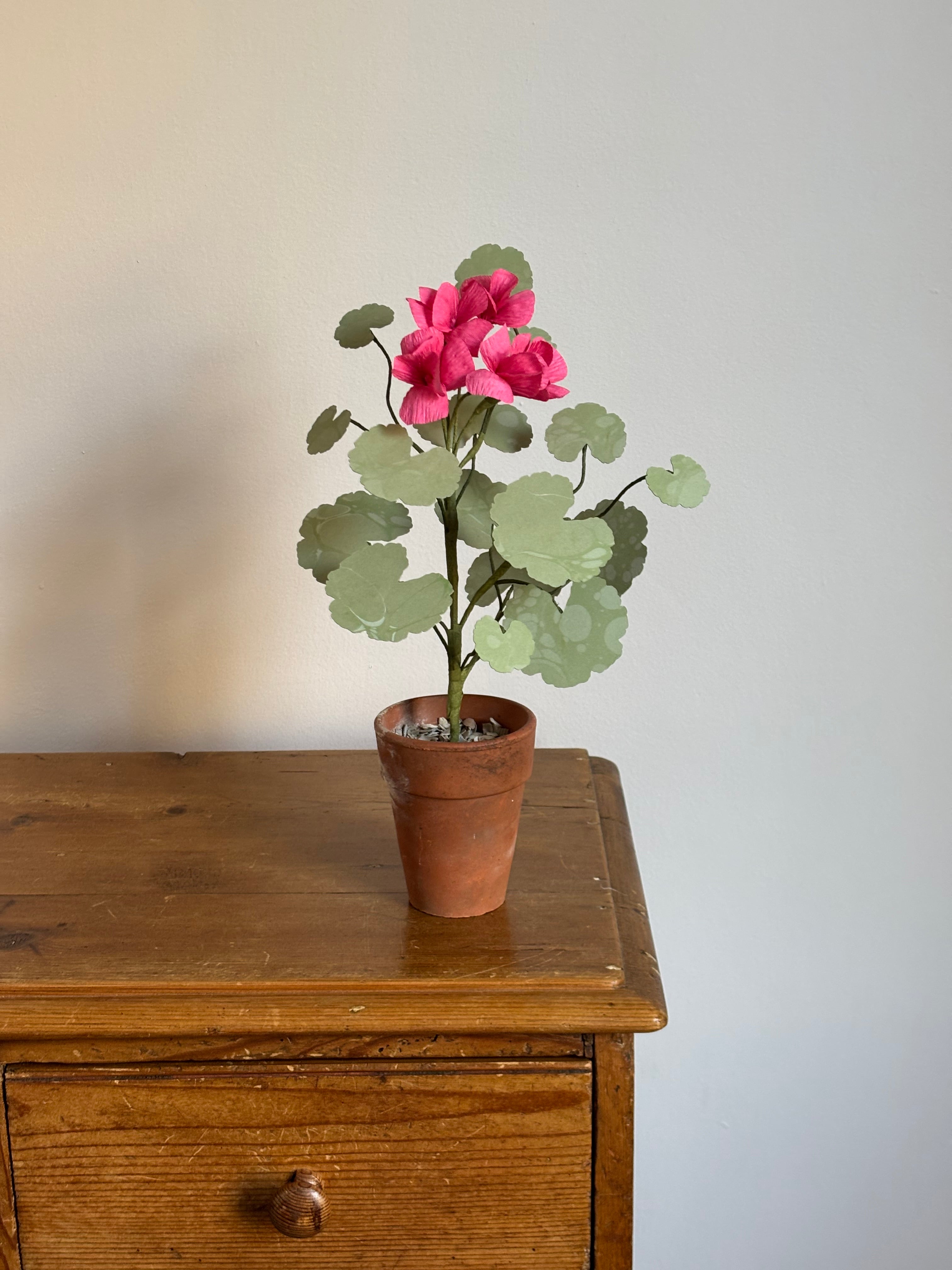 Paper Geranium