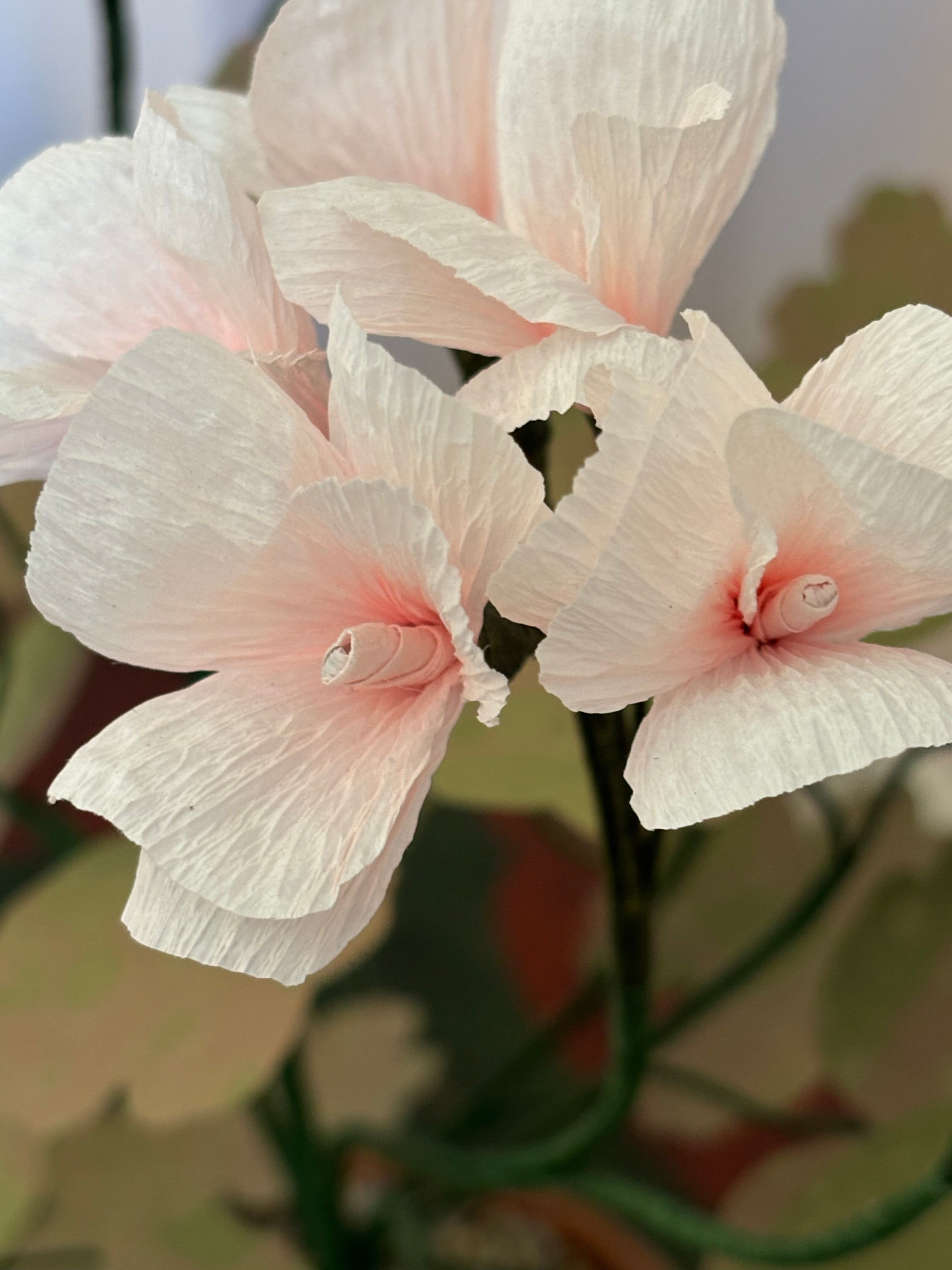 Paper Geranium