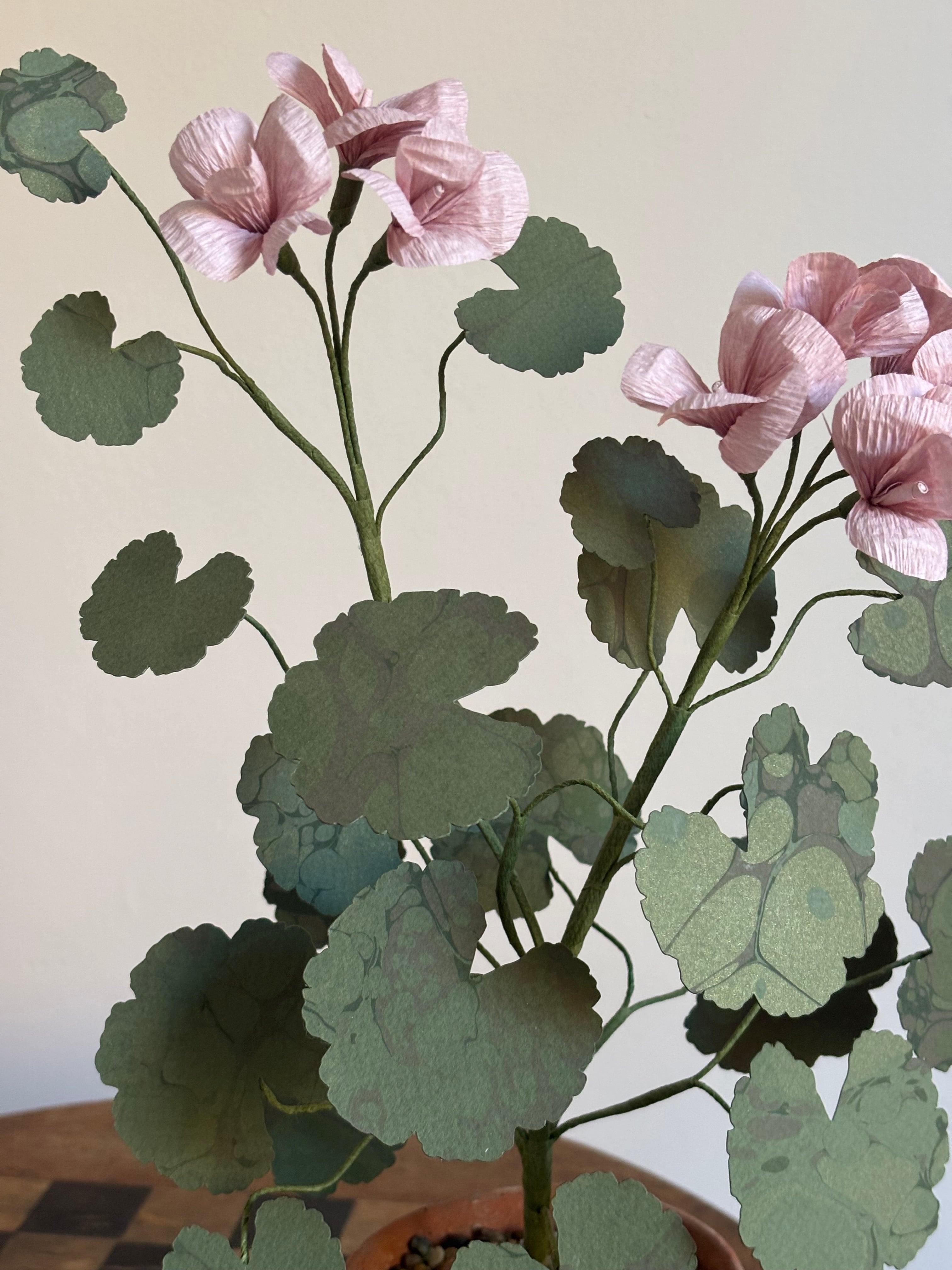 Paper Geranium