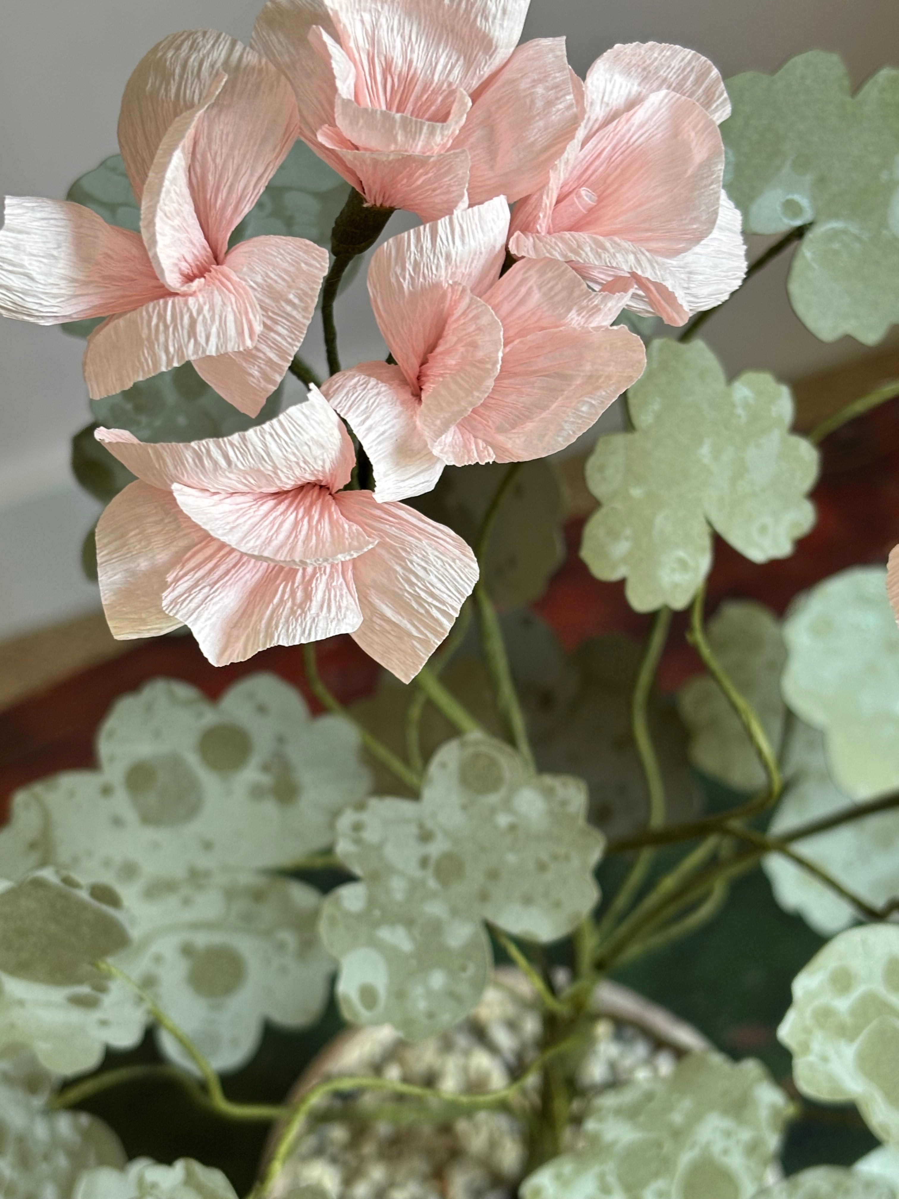 Paper Geranium