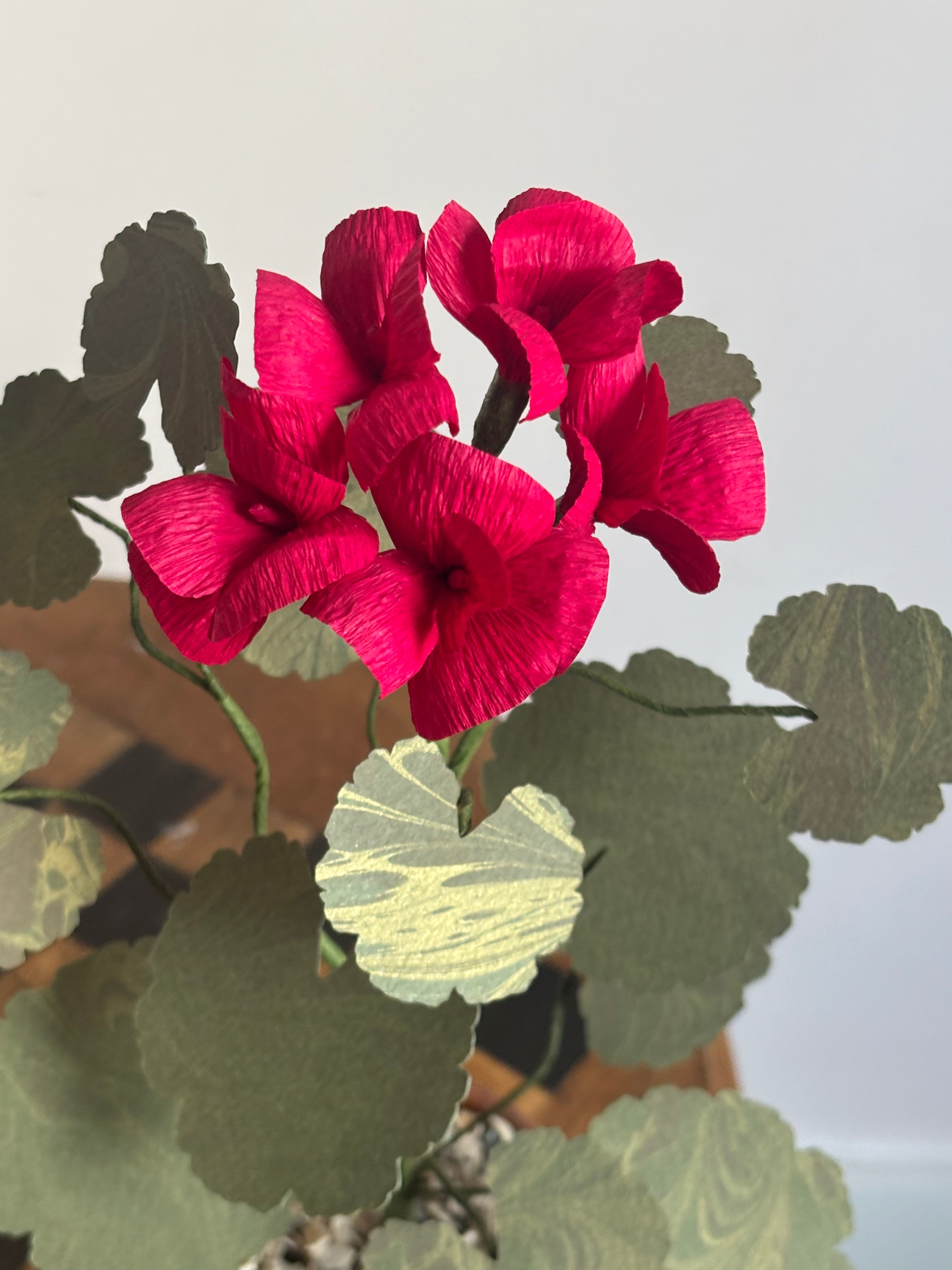 Paper Geranium