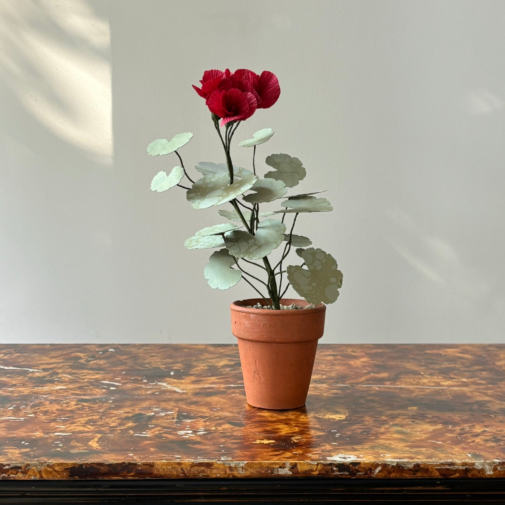 Paper Geranium