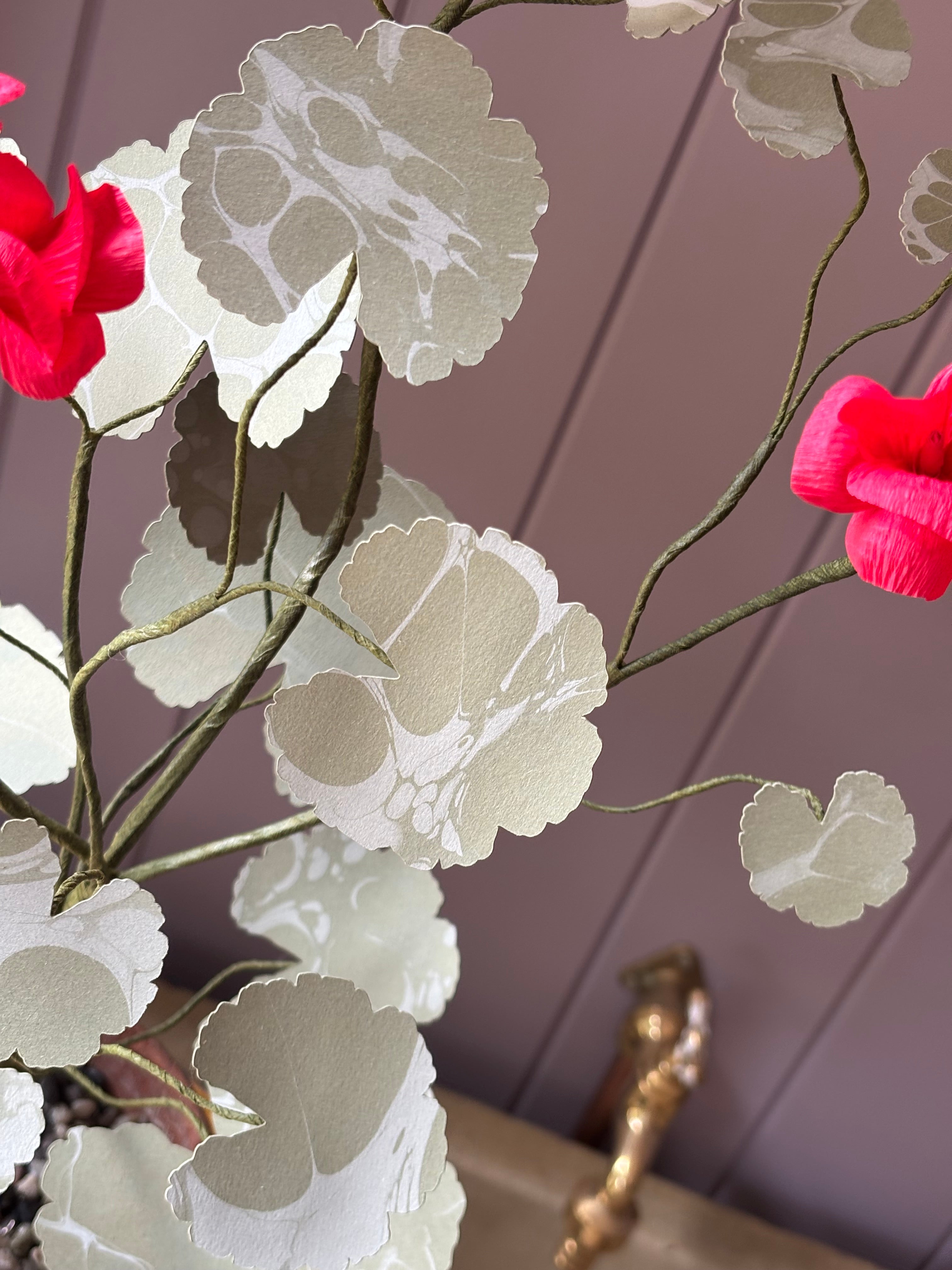 Paper geranium