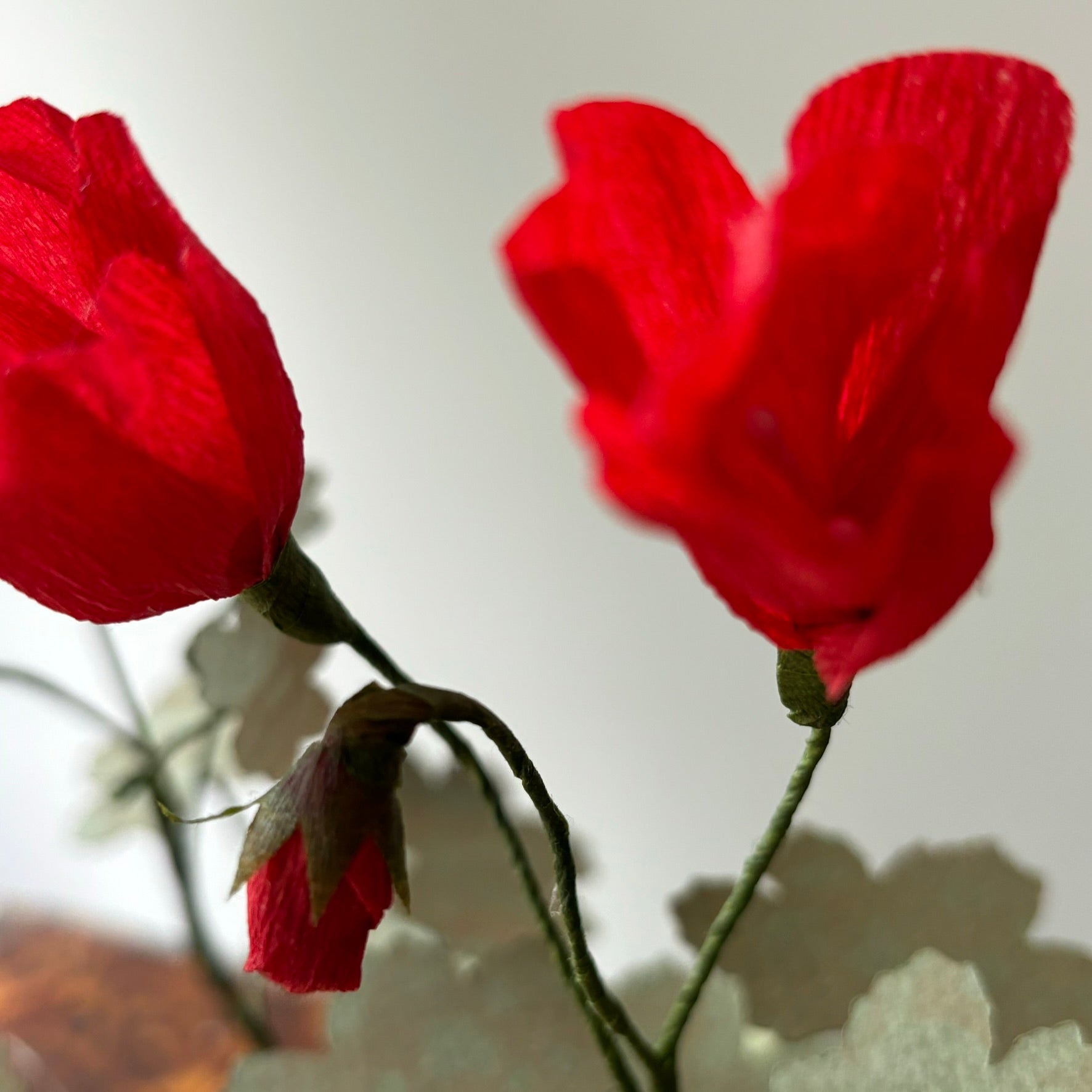 Paper Geranium