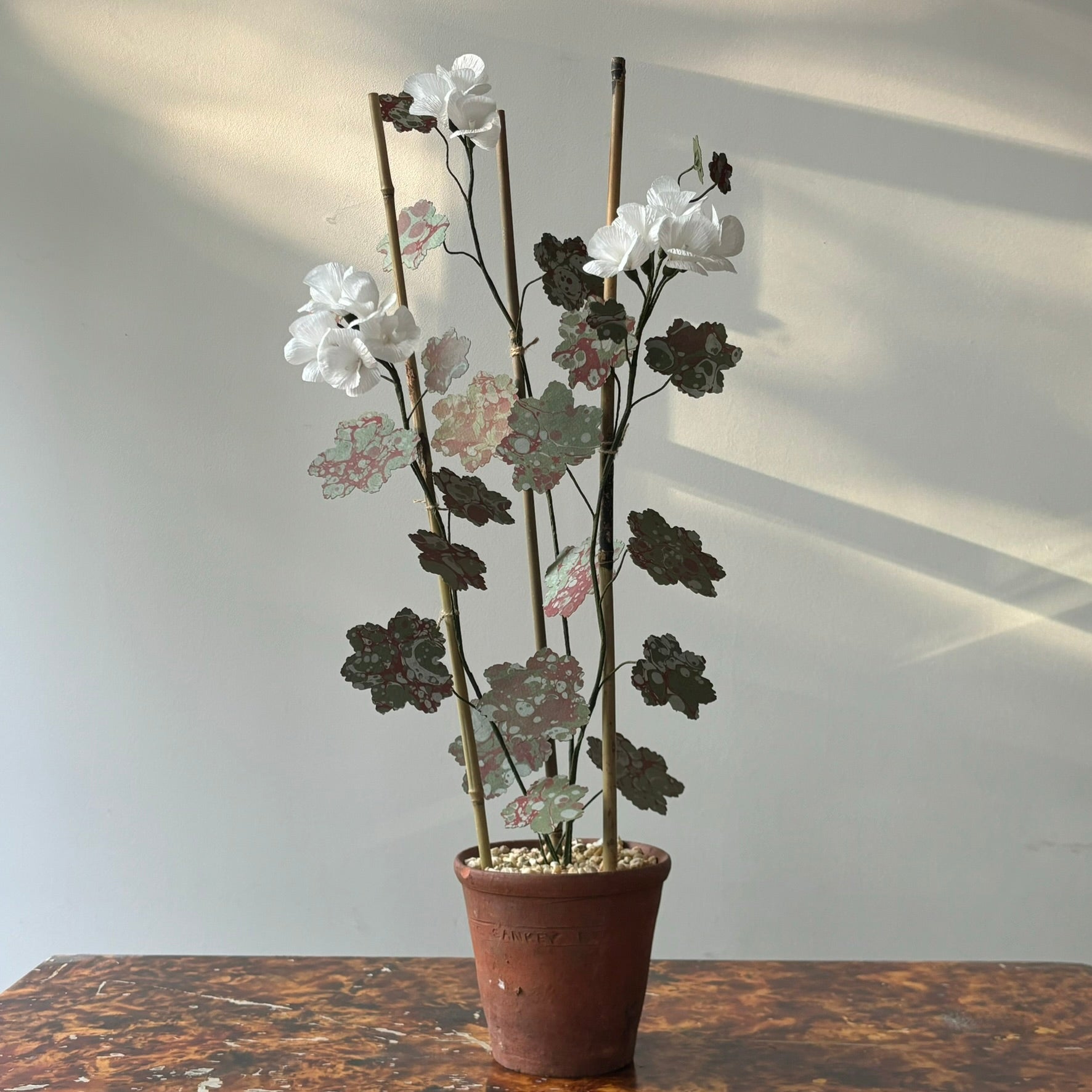 Paper Geranium