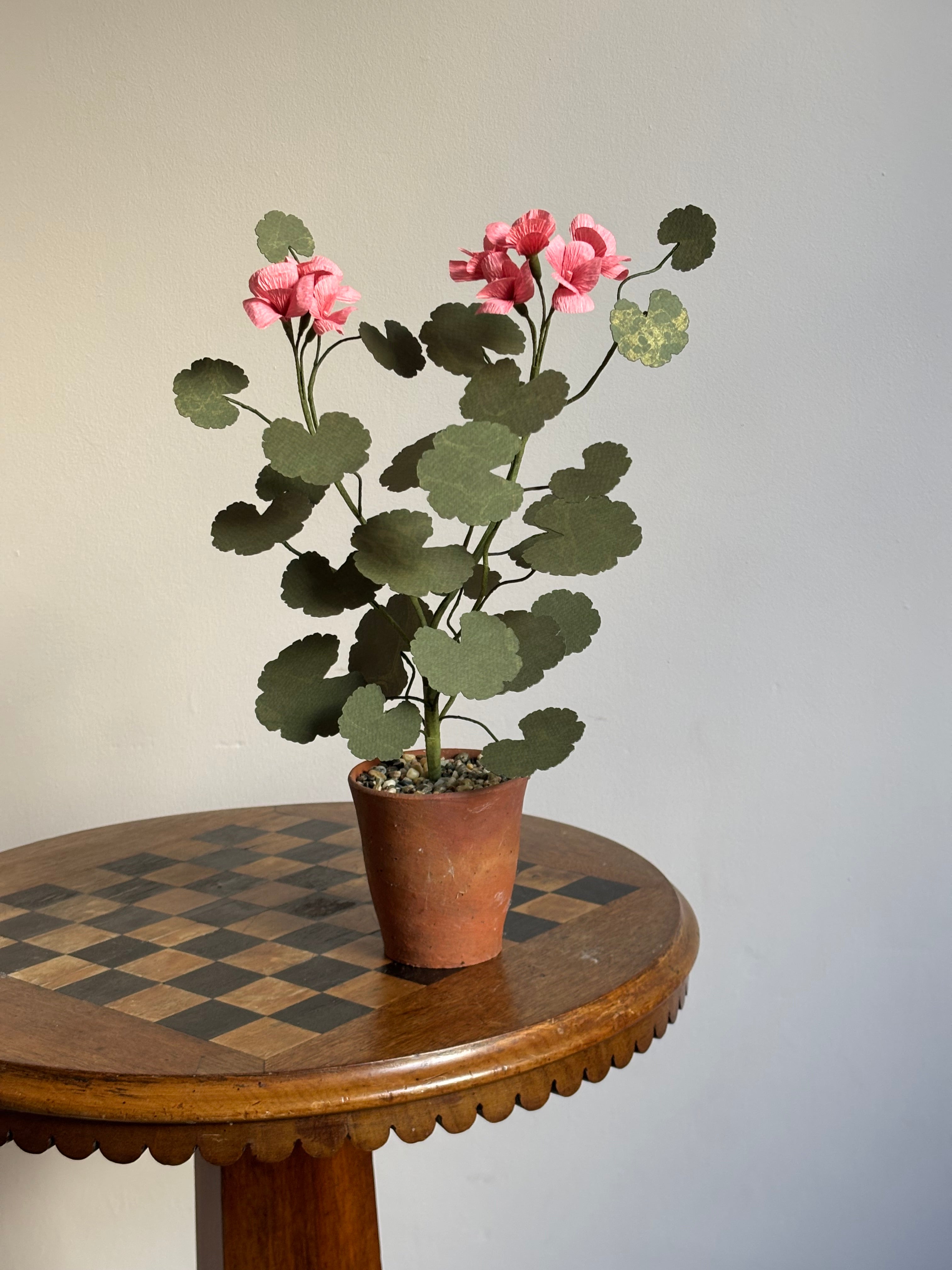 Paper Geranium