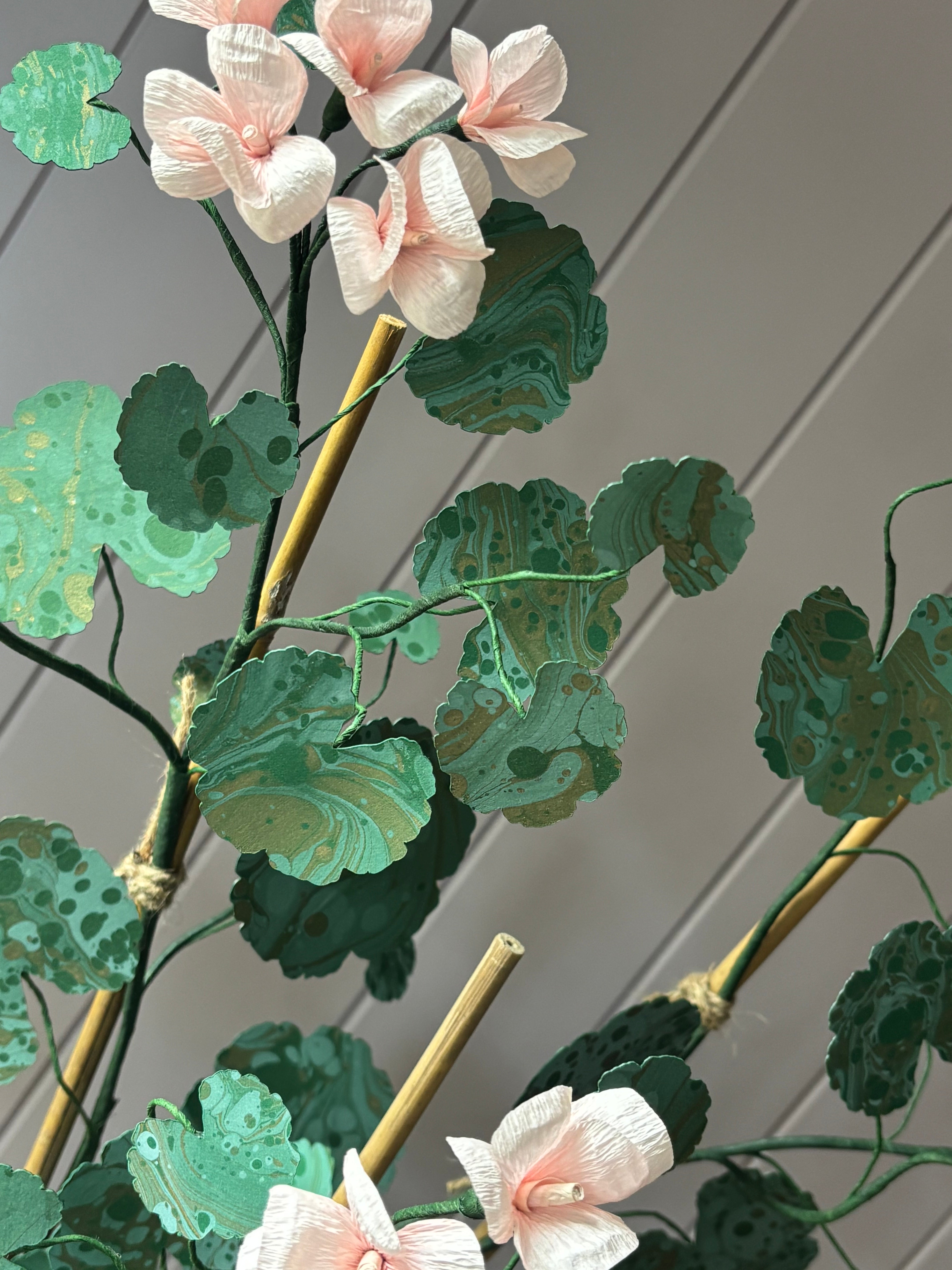 Paper geranium