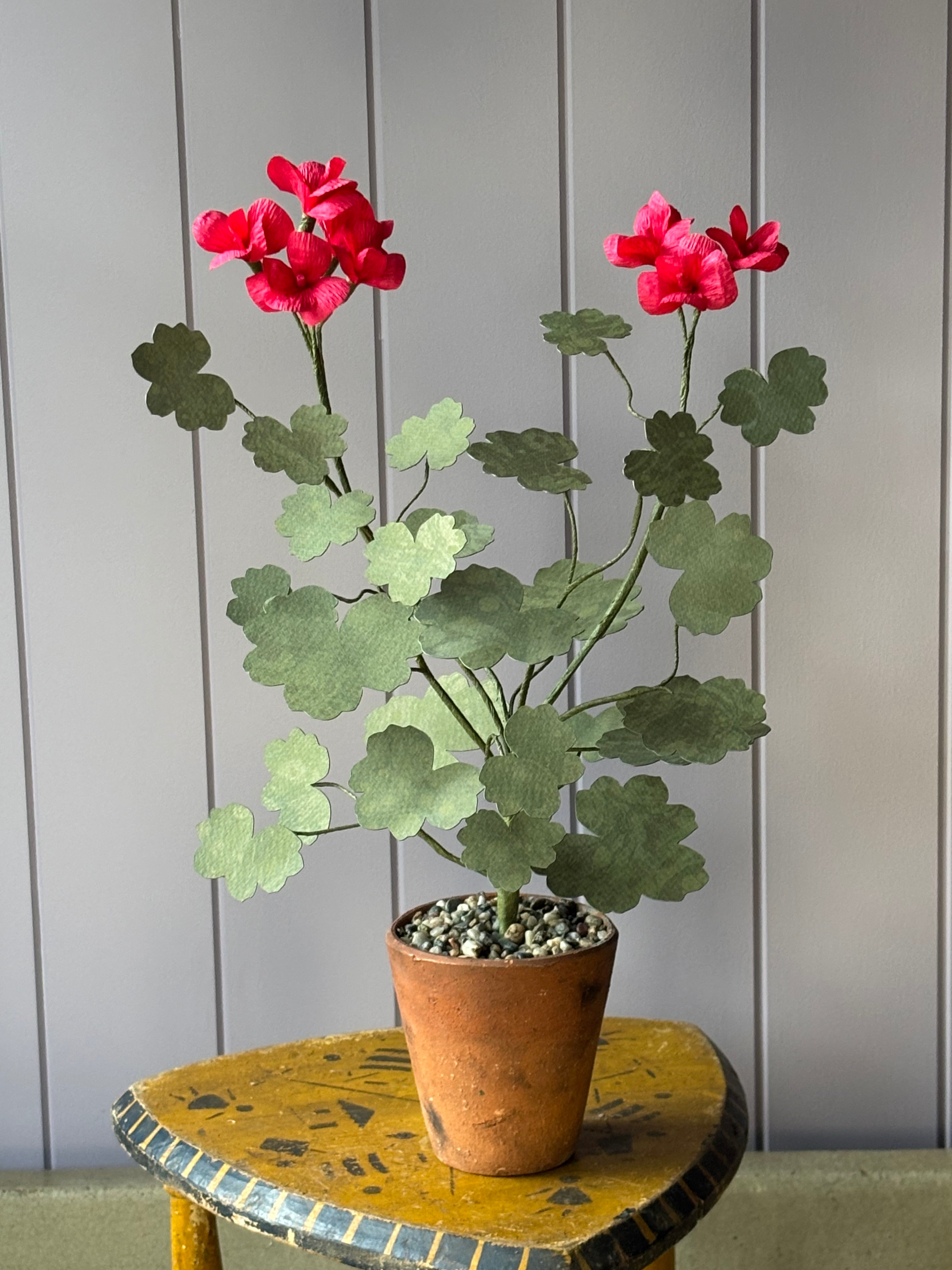 Paper Geranium