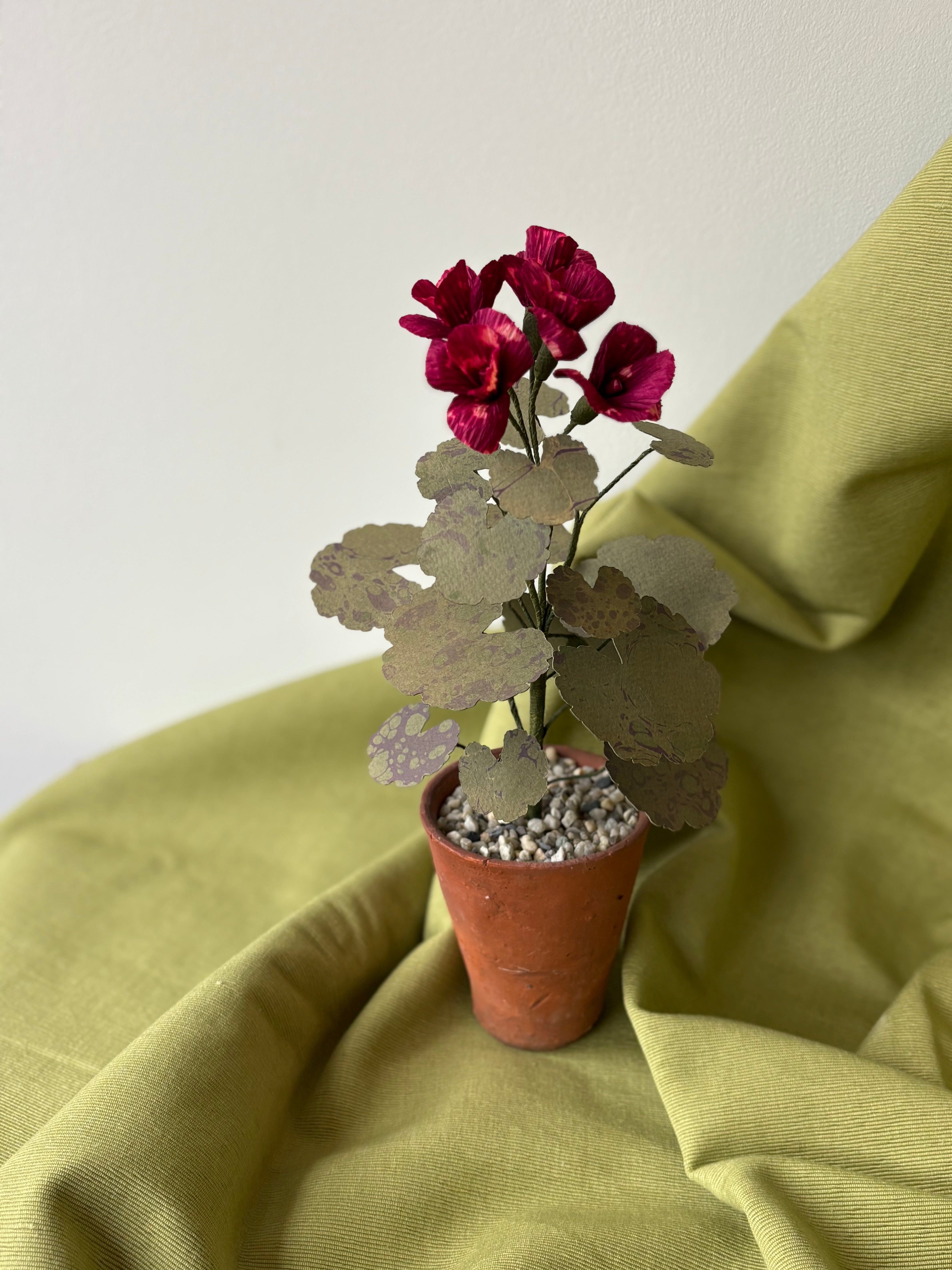 Paper Geranium