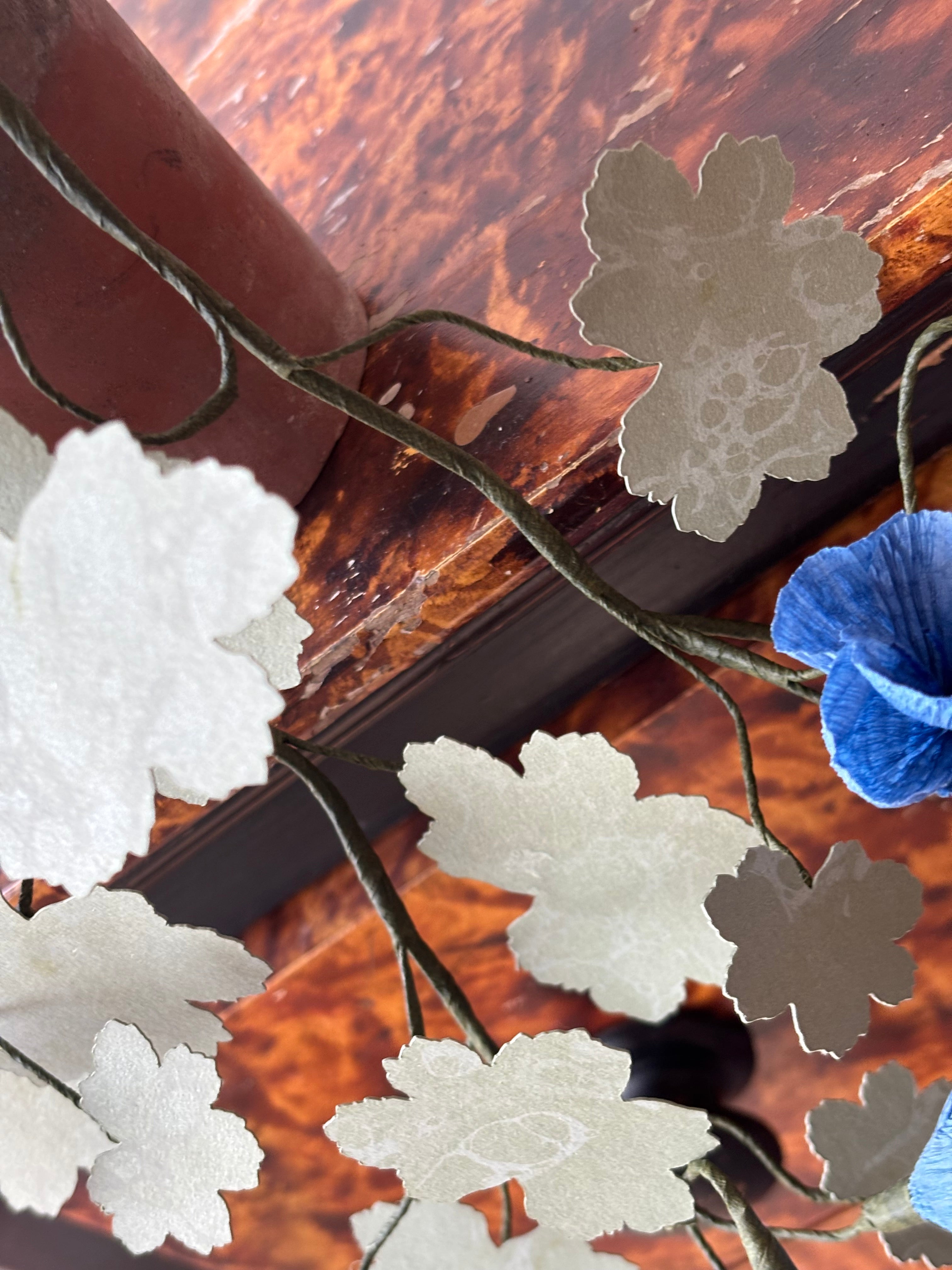Paper hardy Geranium, trailing