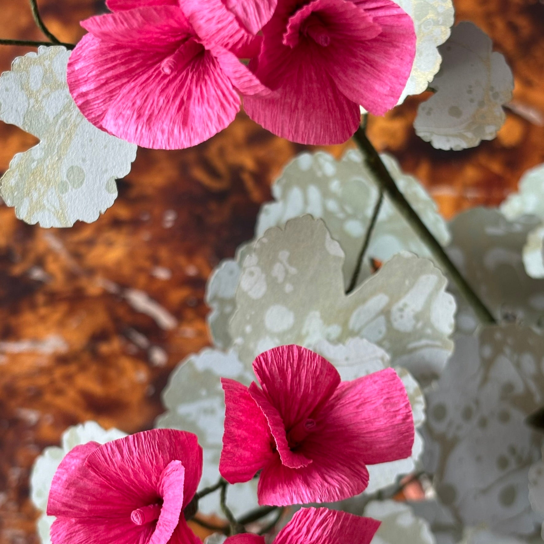 Paper Geranium