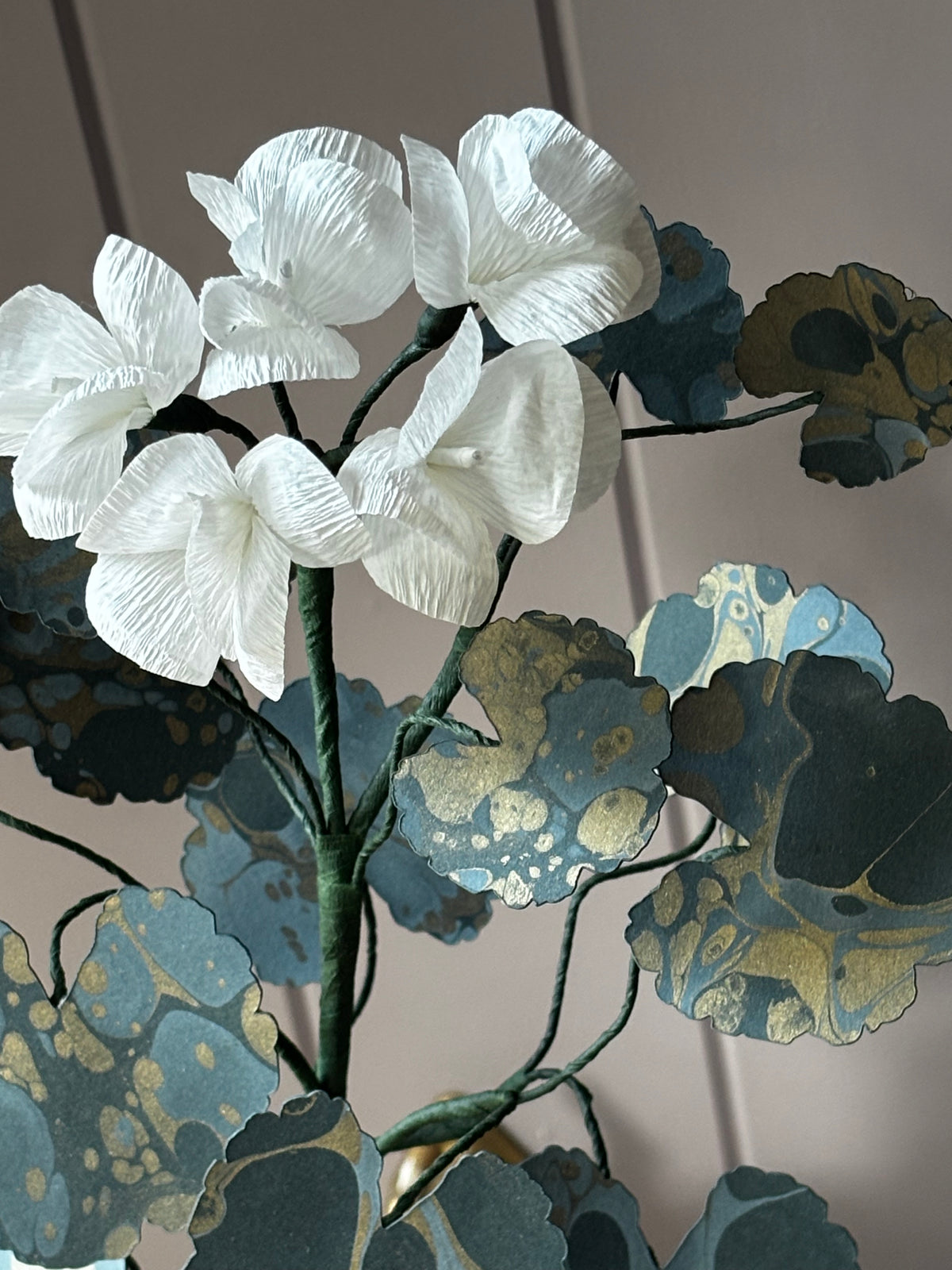 Paper geranium