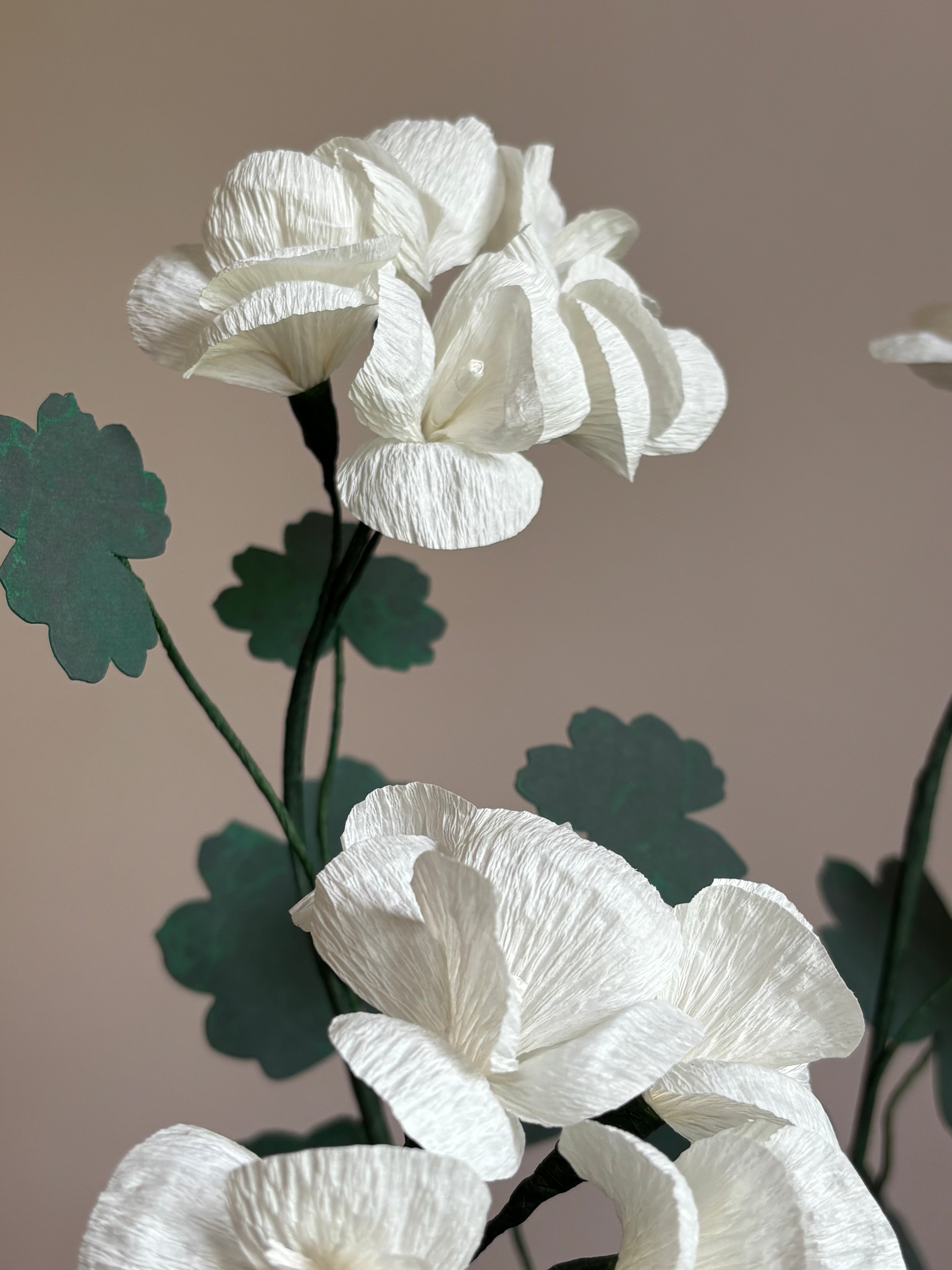 Paper Geranium