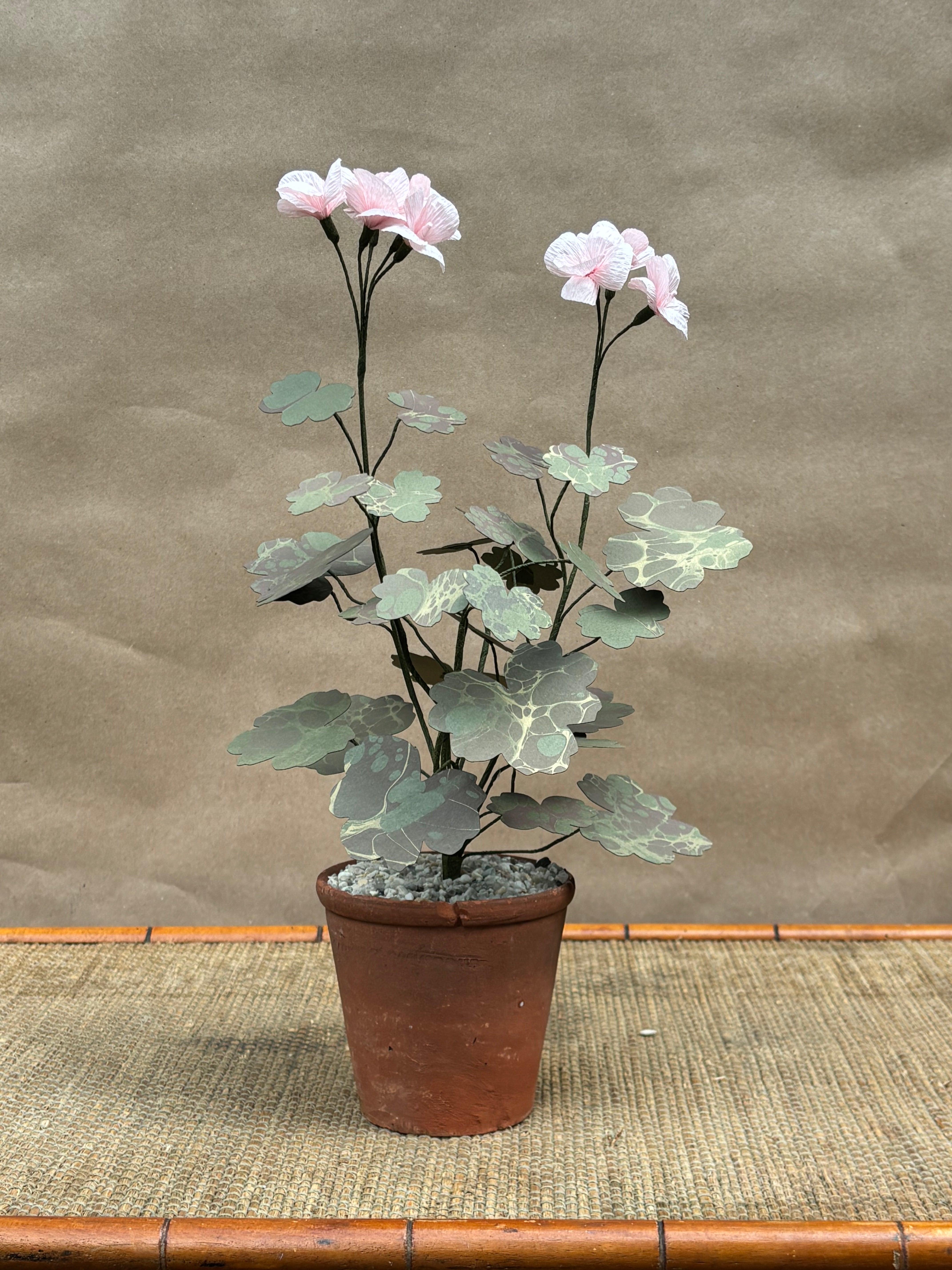 Paper Geranium