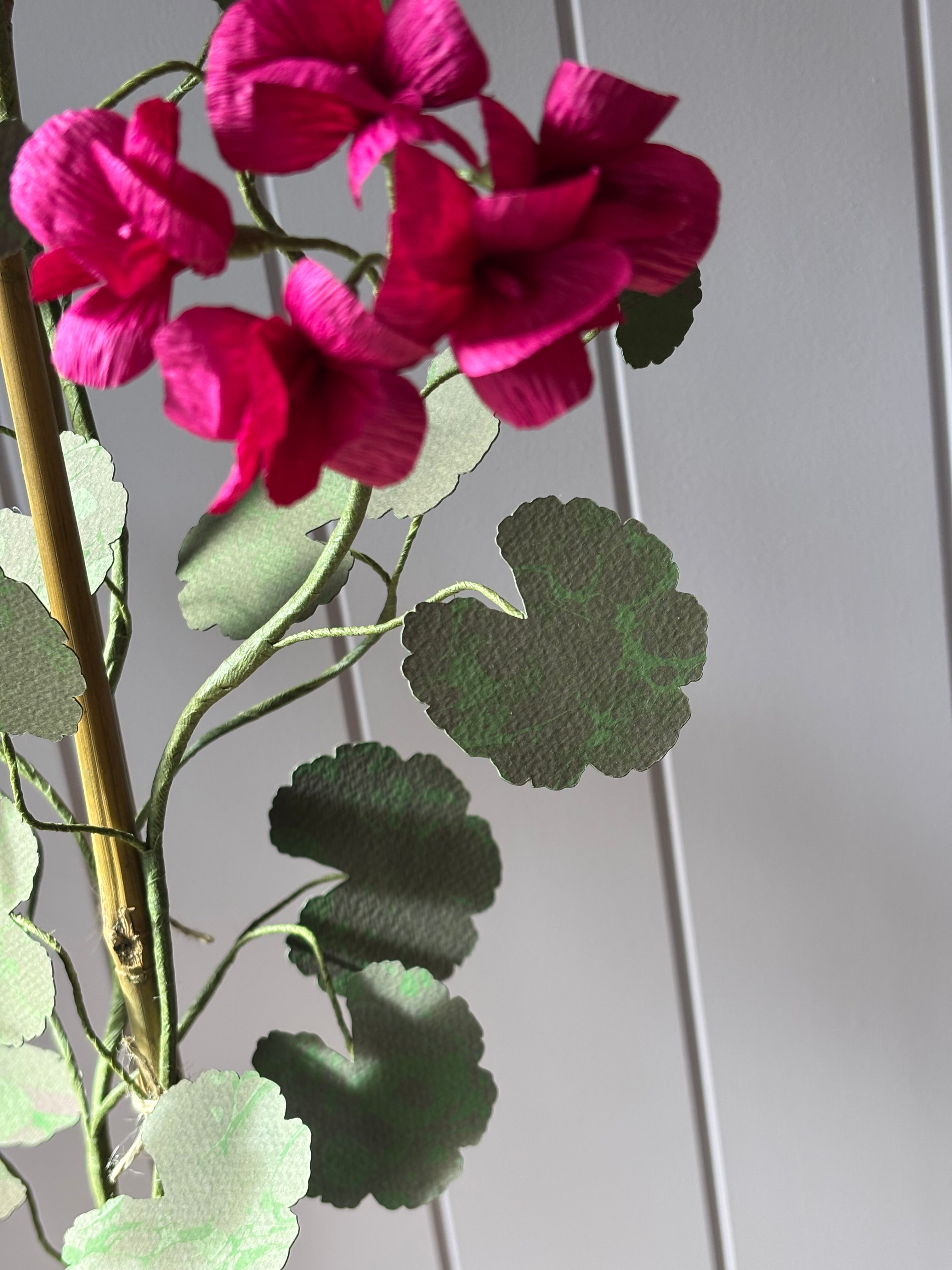 Paper geranium