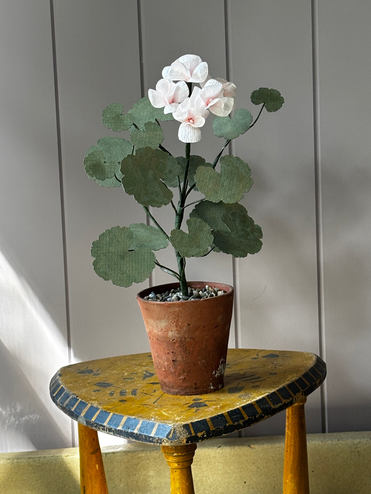 Paper geranium