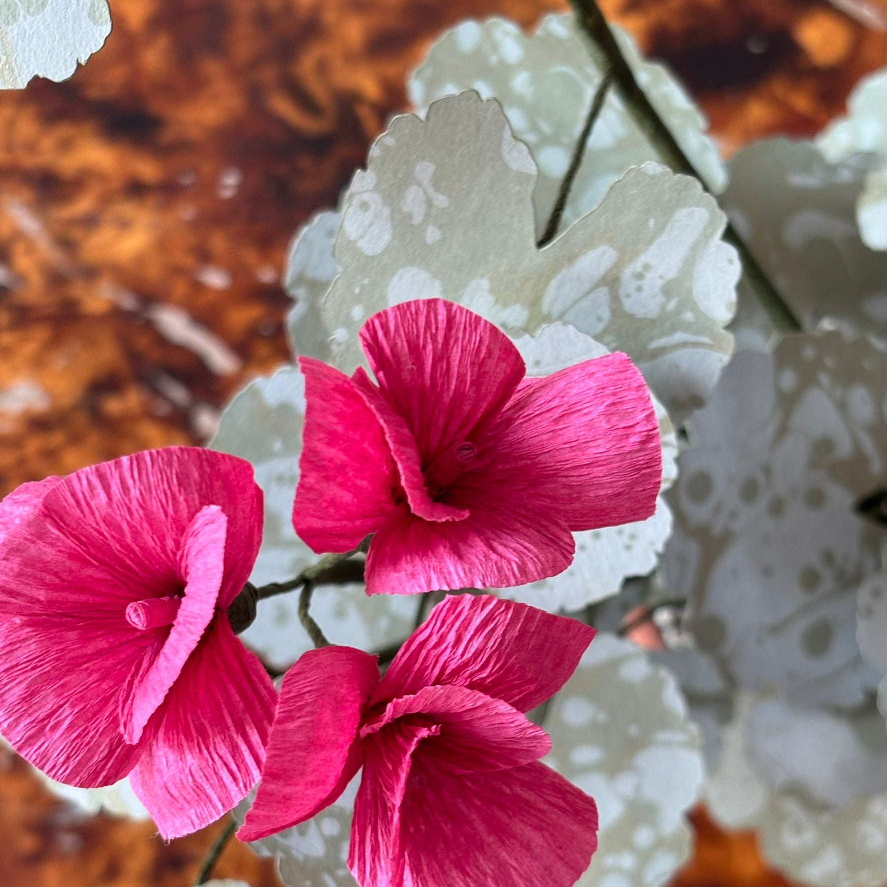Paper Geranium