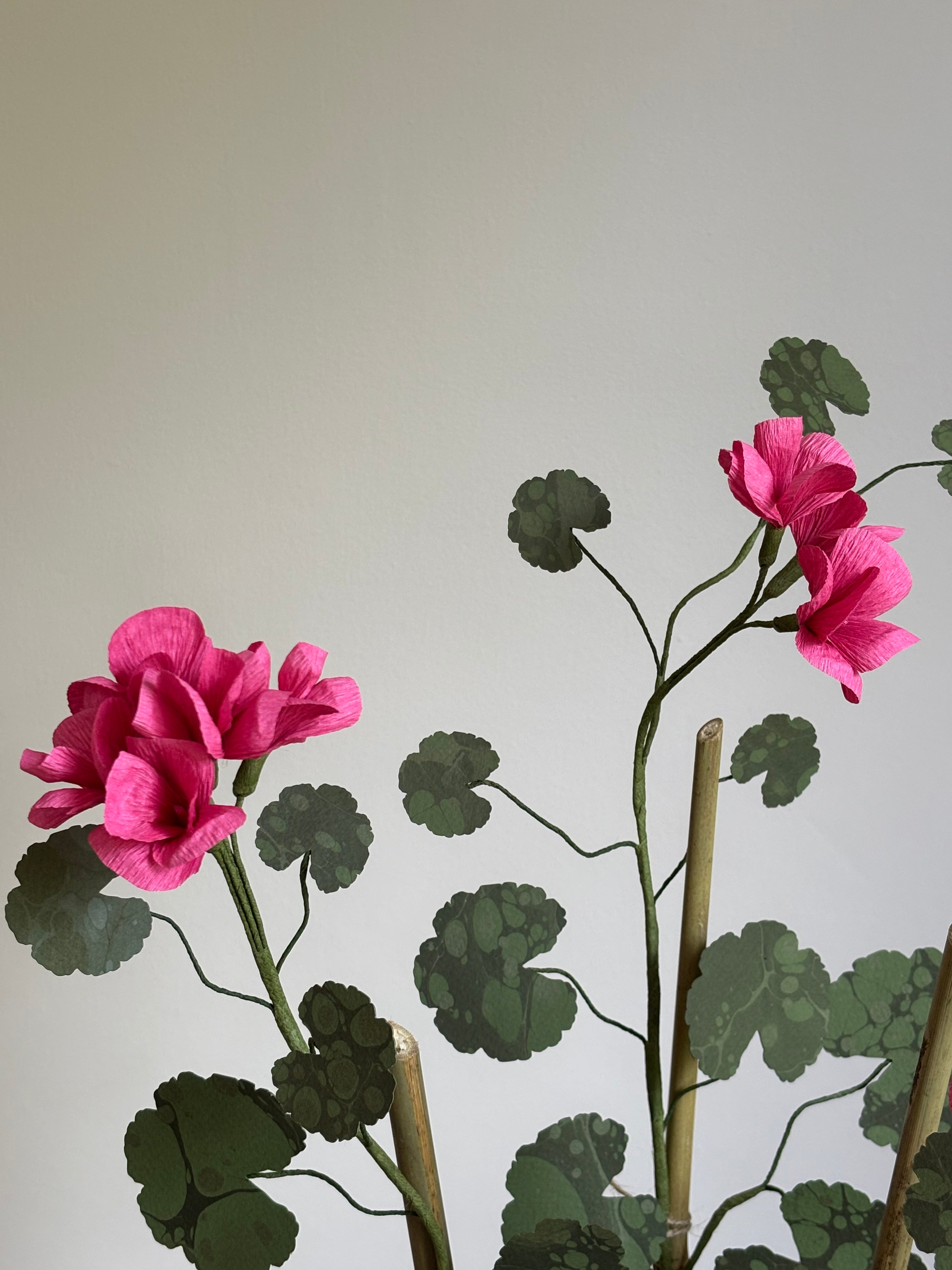 Paper Geranium