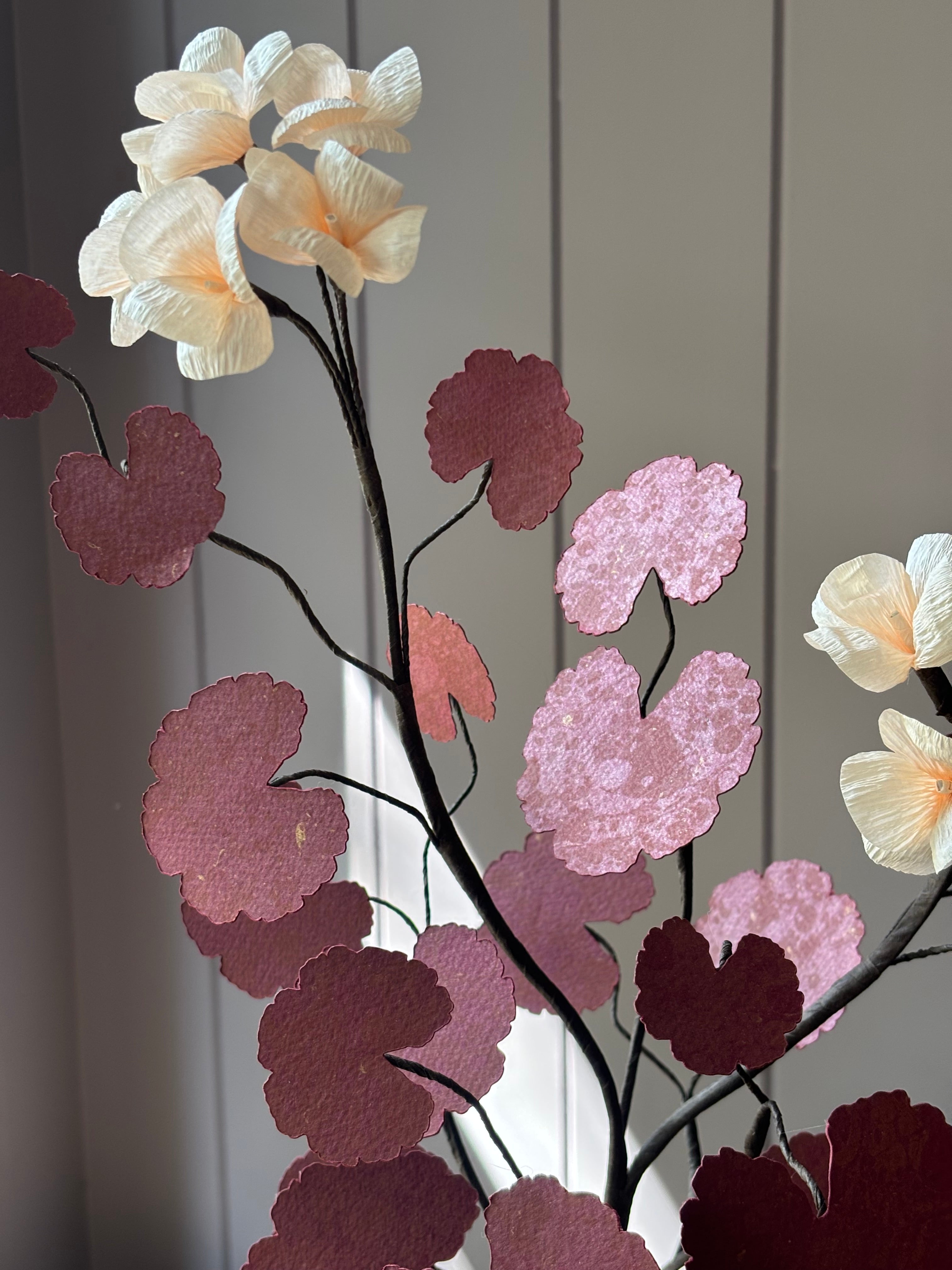 Paper geranium