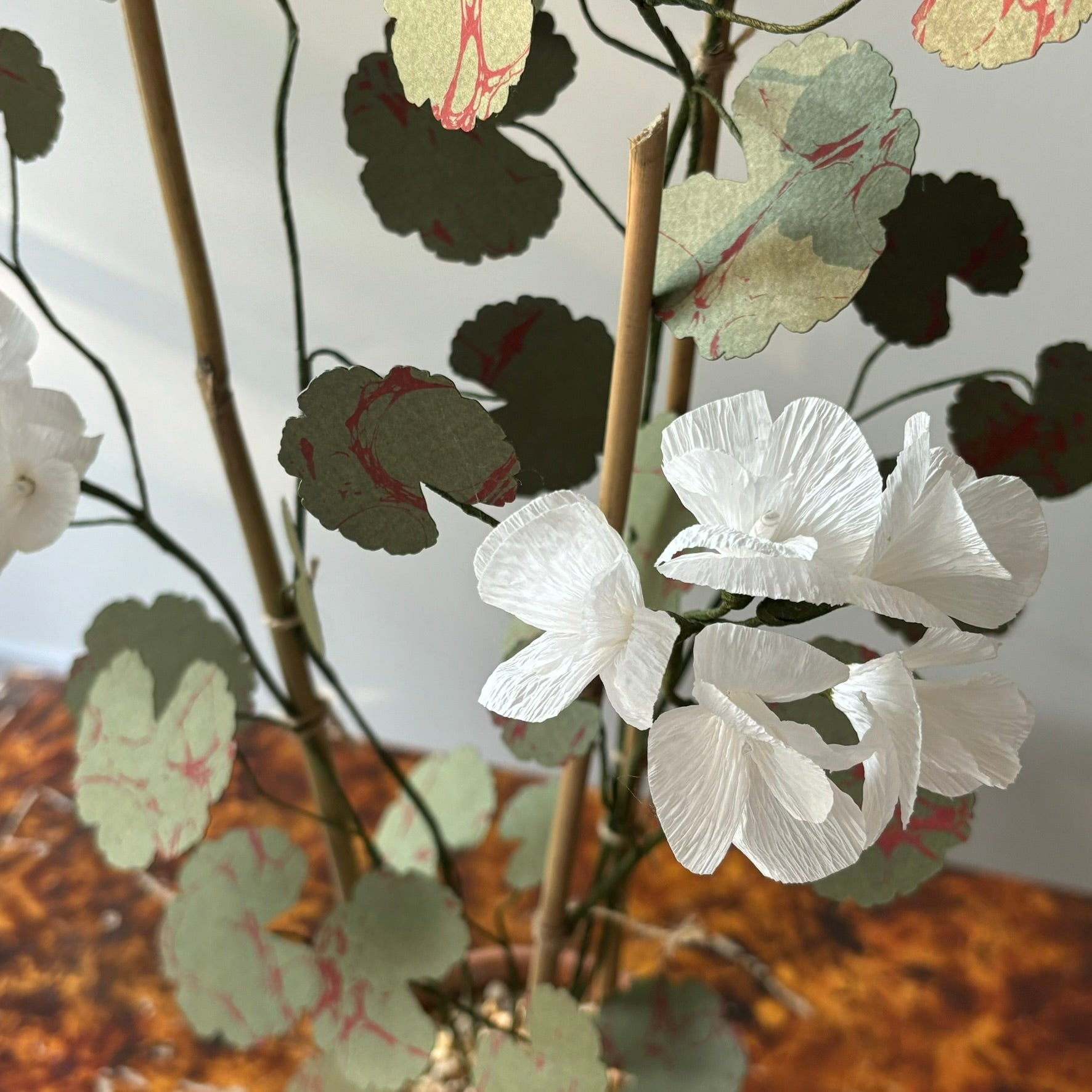 Paper Geranium