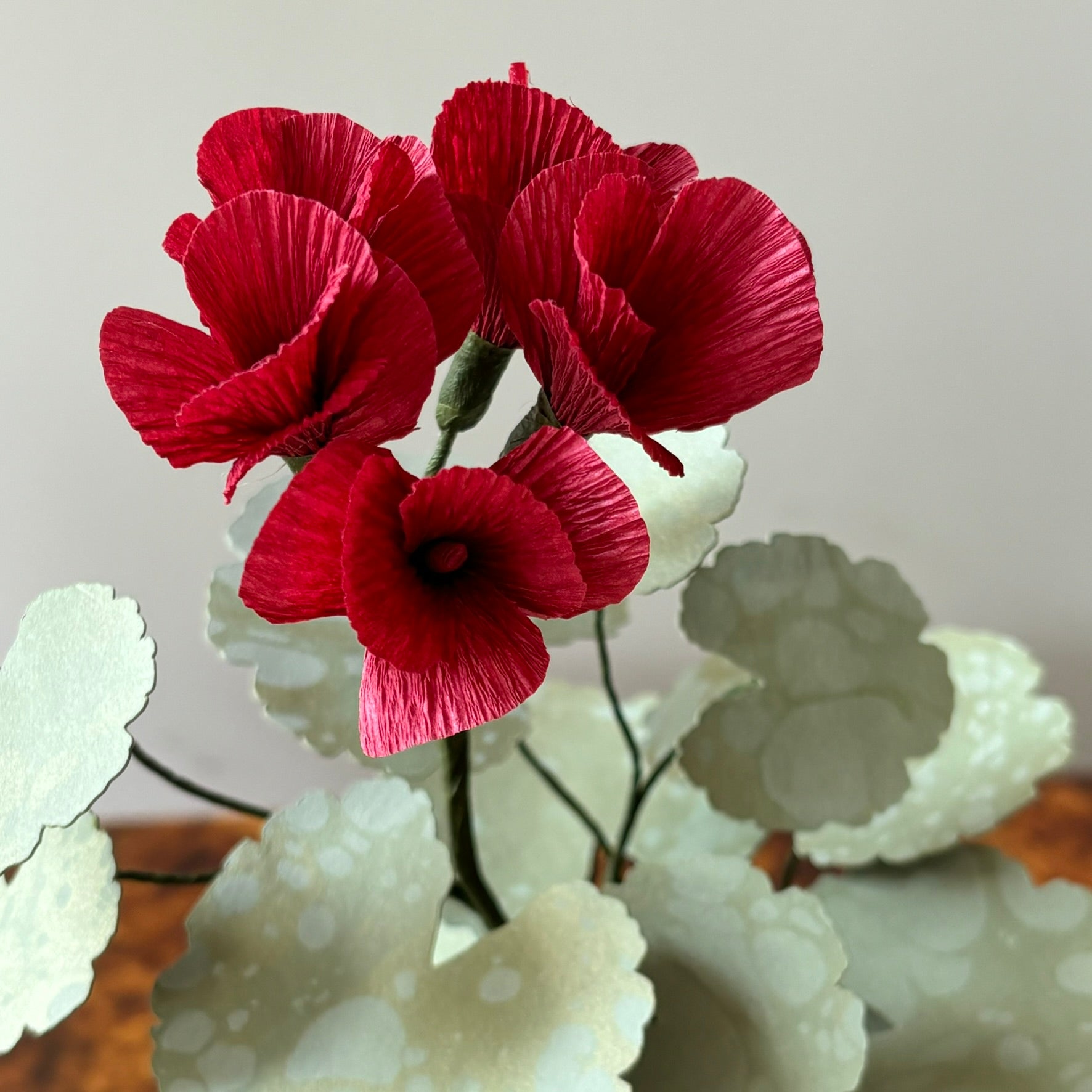 Paper Geranium