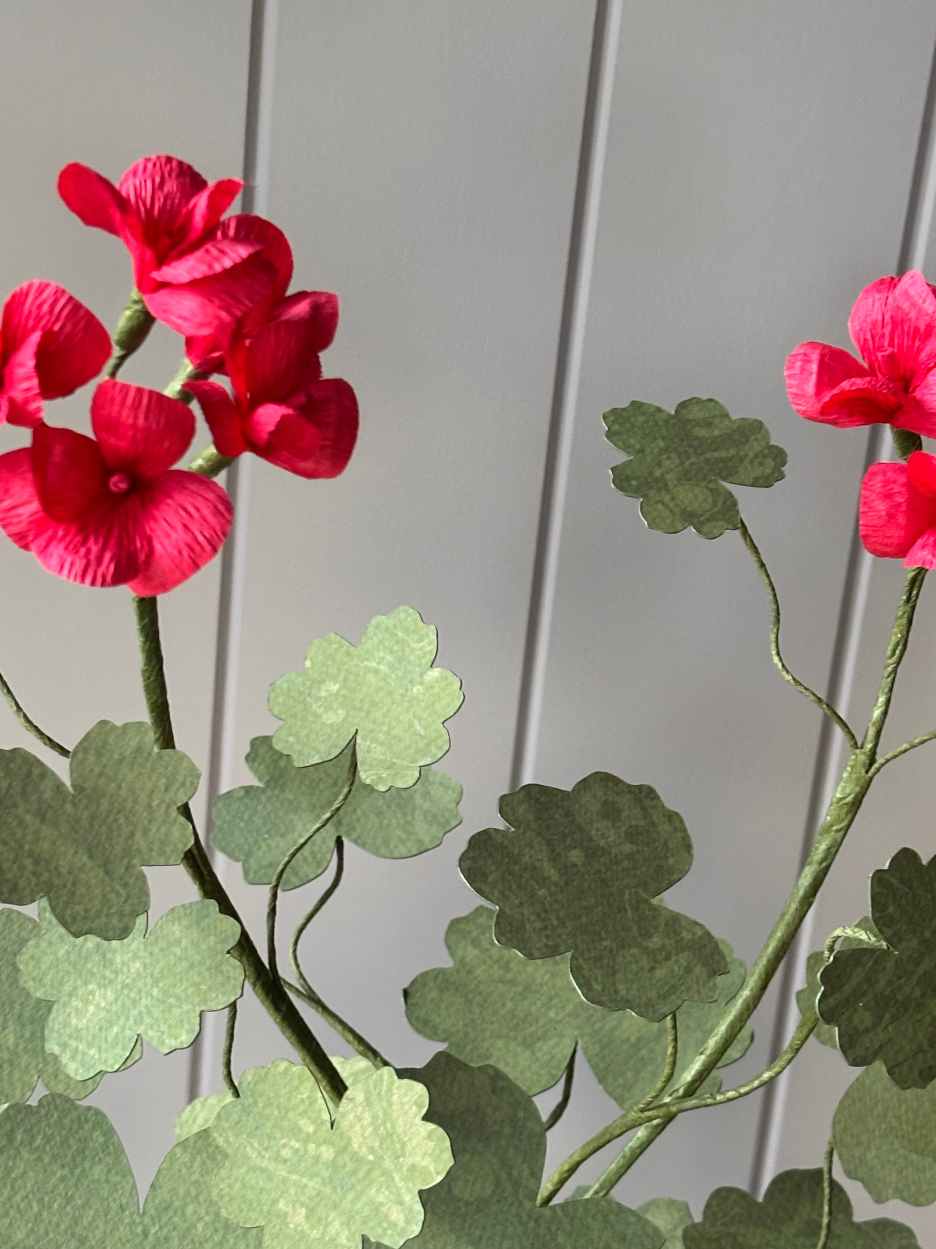 Paper Geranium