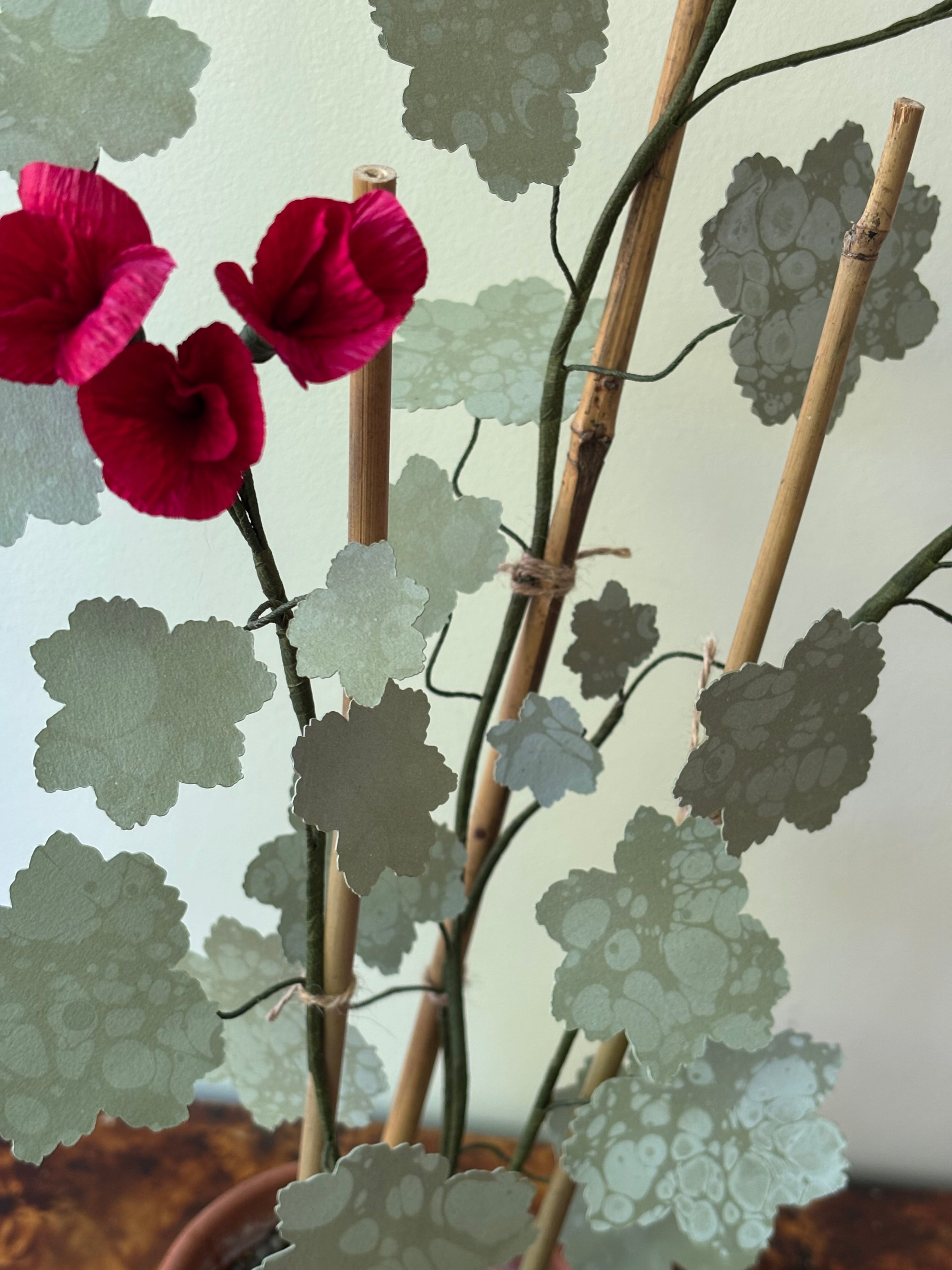 Paper Geranium